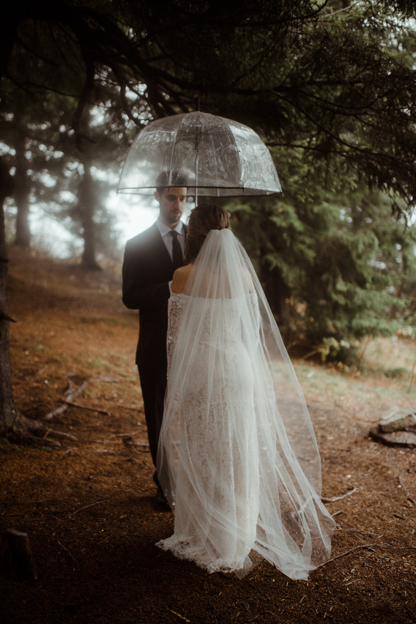 Blue Ridge Parkway Rainy Day Elopement - Shenandoah National Park Wedding - White Sails Creative_32.jpg