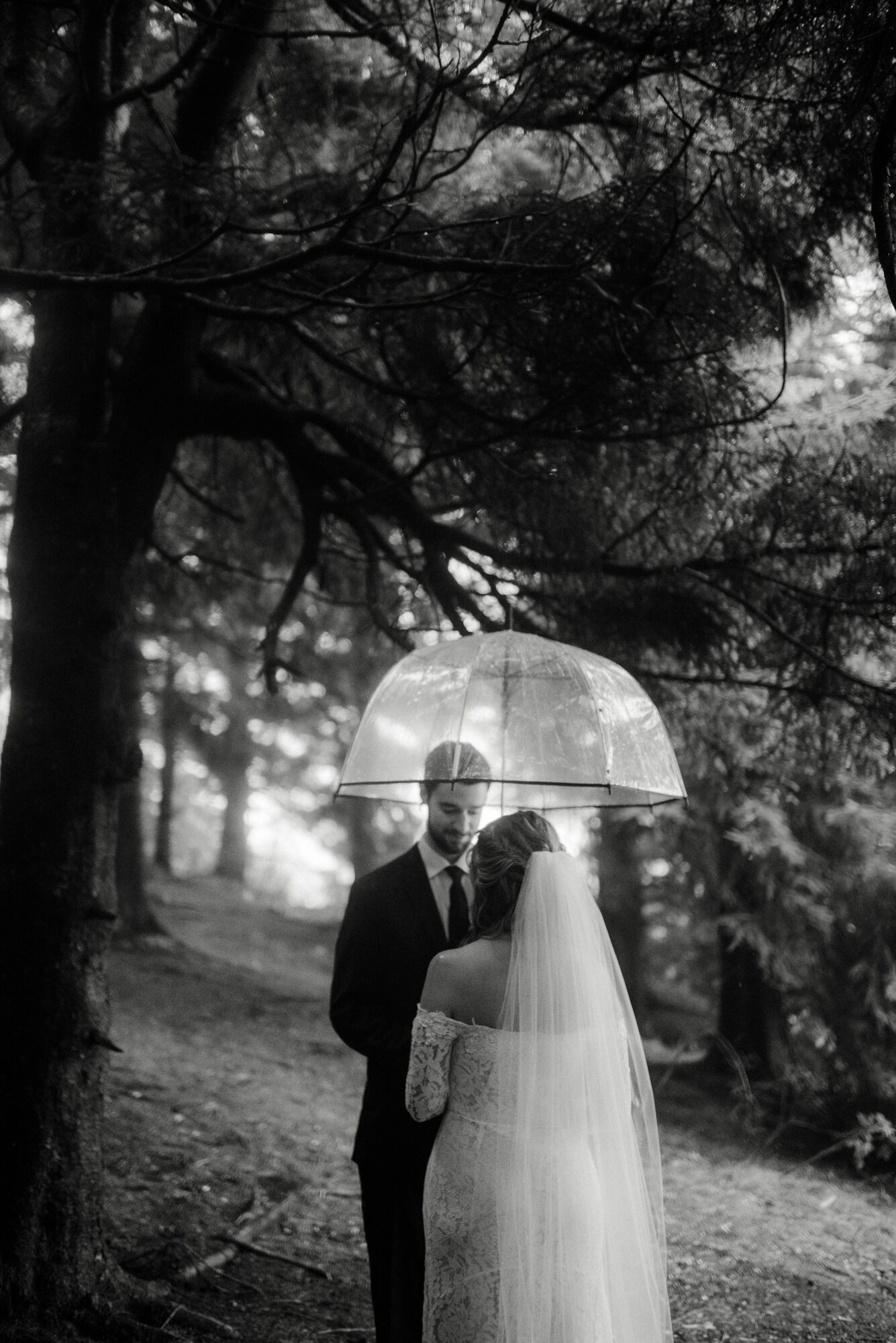 Blue Ridge Parkway Rainy Day Elopement - Shenandoah National Park Wedding - White Sails Creative_33.jpg