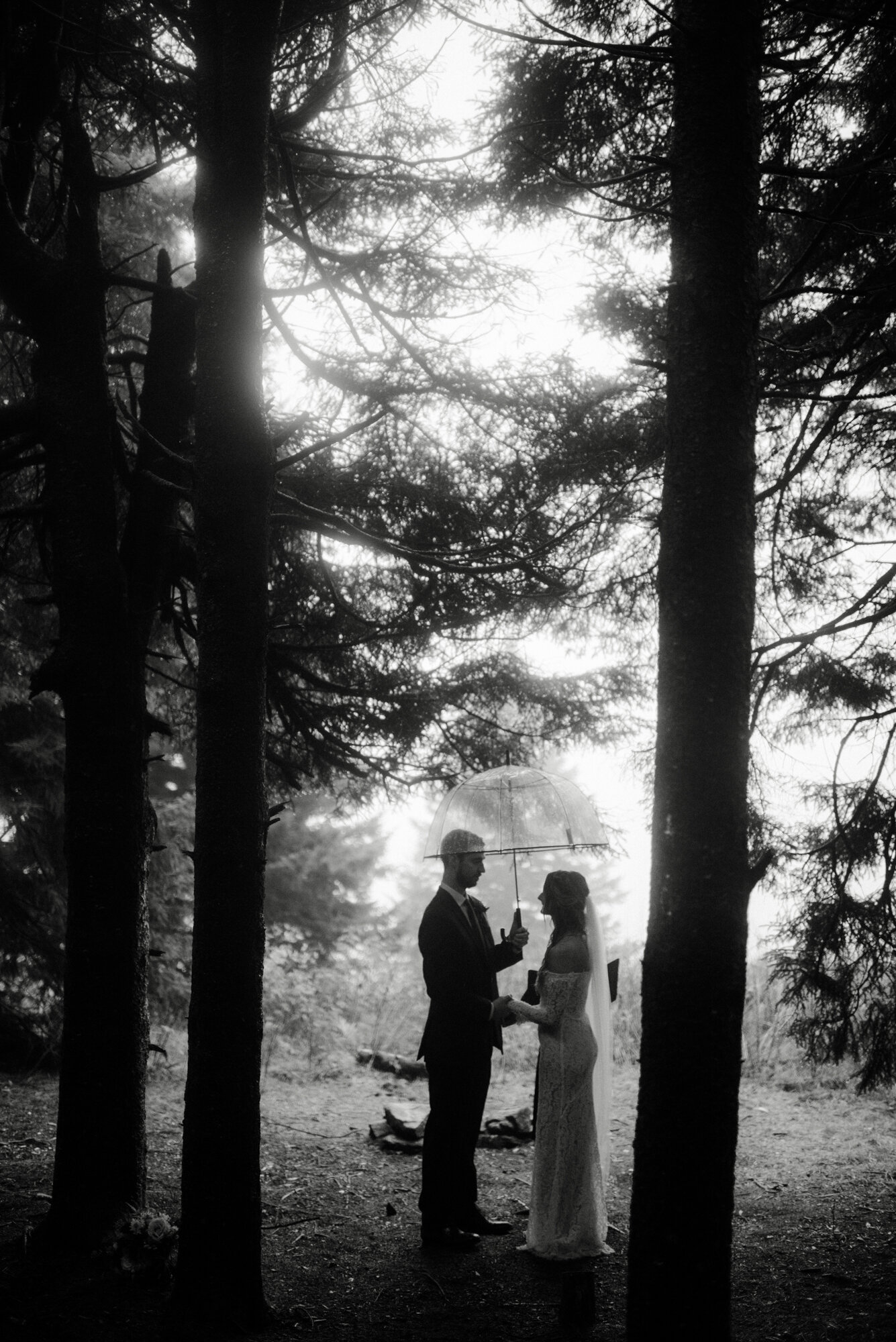 Blue Ridge Parkway Rainy Day Elopement - Shenandoah National Park Wedding - White Sails Creative_36.jpg