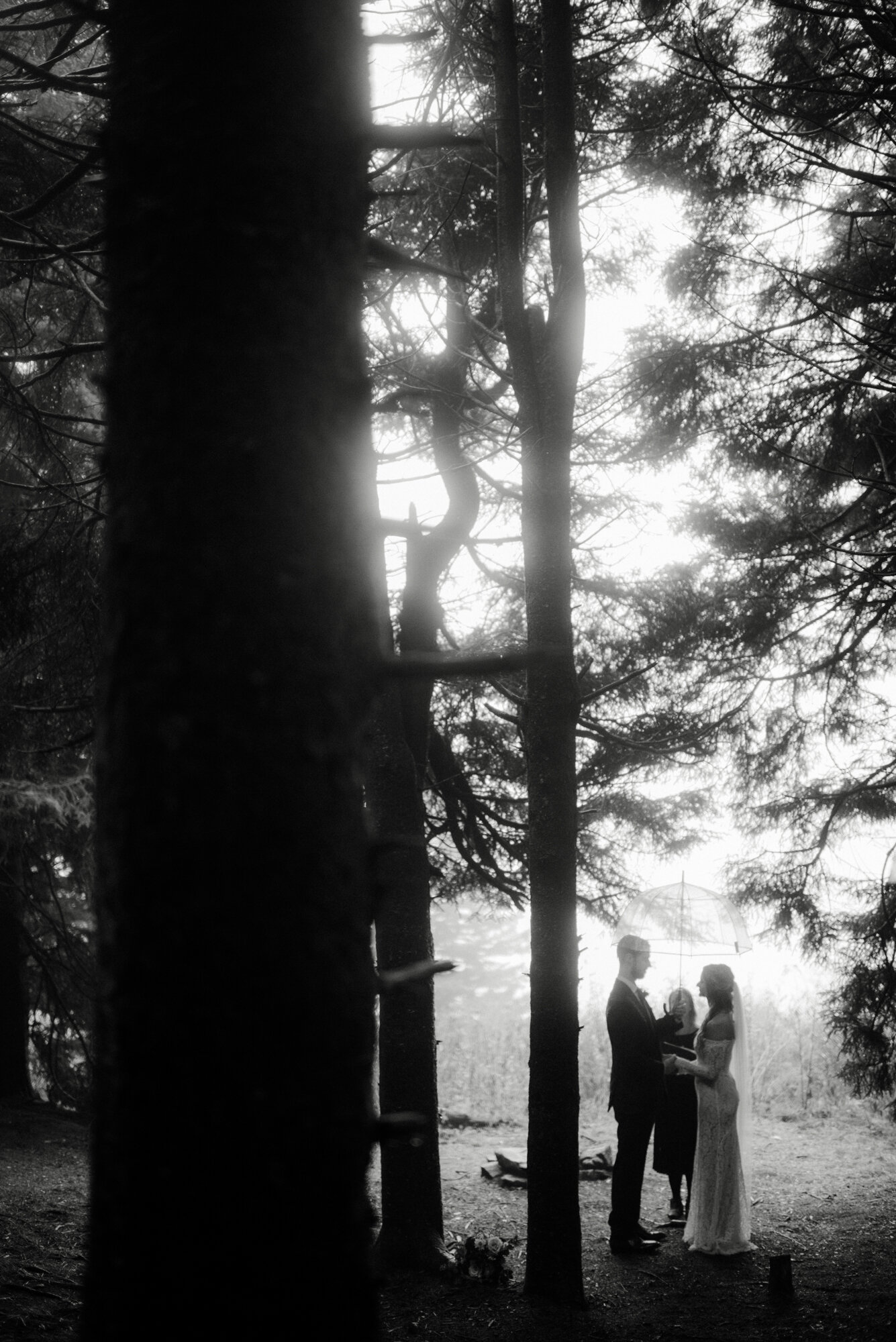 Blue Ridge Parkway Rainy Day Elopement - Shenandoah National Park Wedding - White Sails Creative_38.jpg