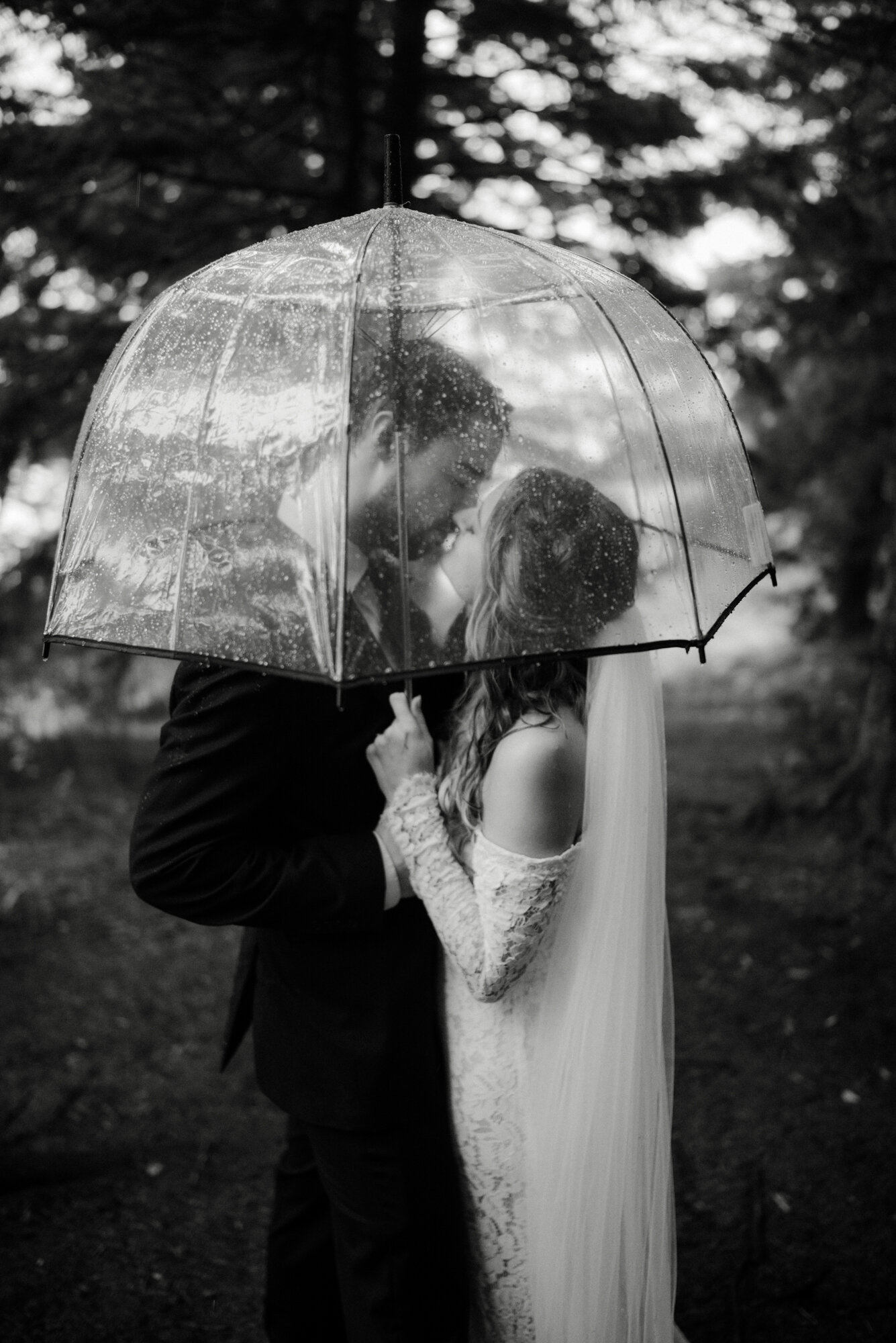 Blue Ridge Parkway Rainy Day Elopement - Shenandoah National Park Wedding - White Sails Creative_59.jpg