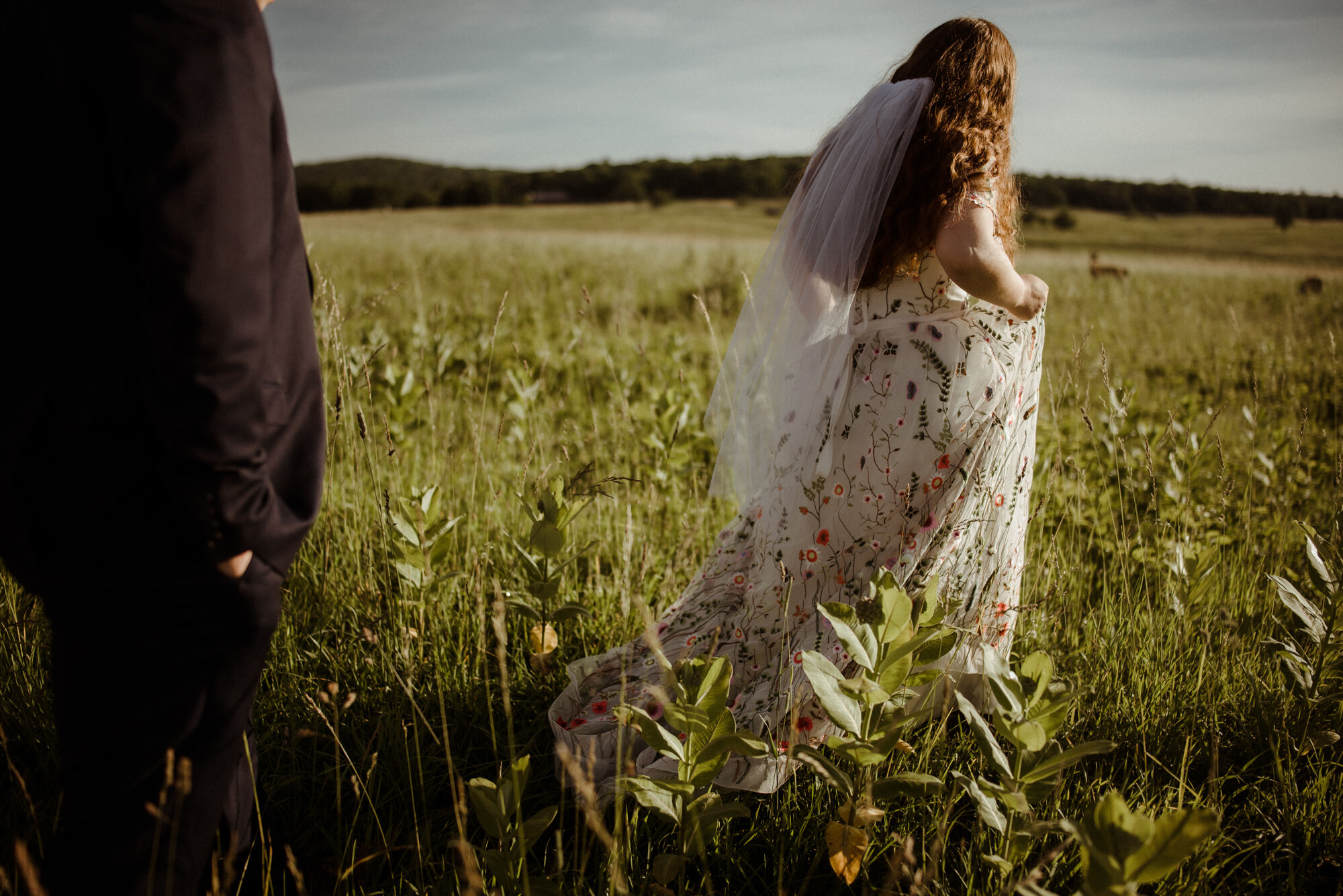 Summer Sunrise Elopement - Shenandoah National Park - White Sails Creative _10.jpg