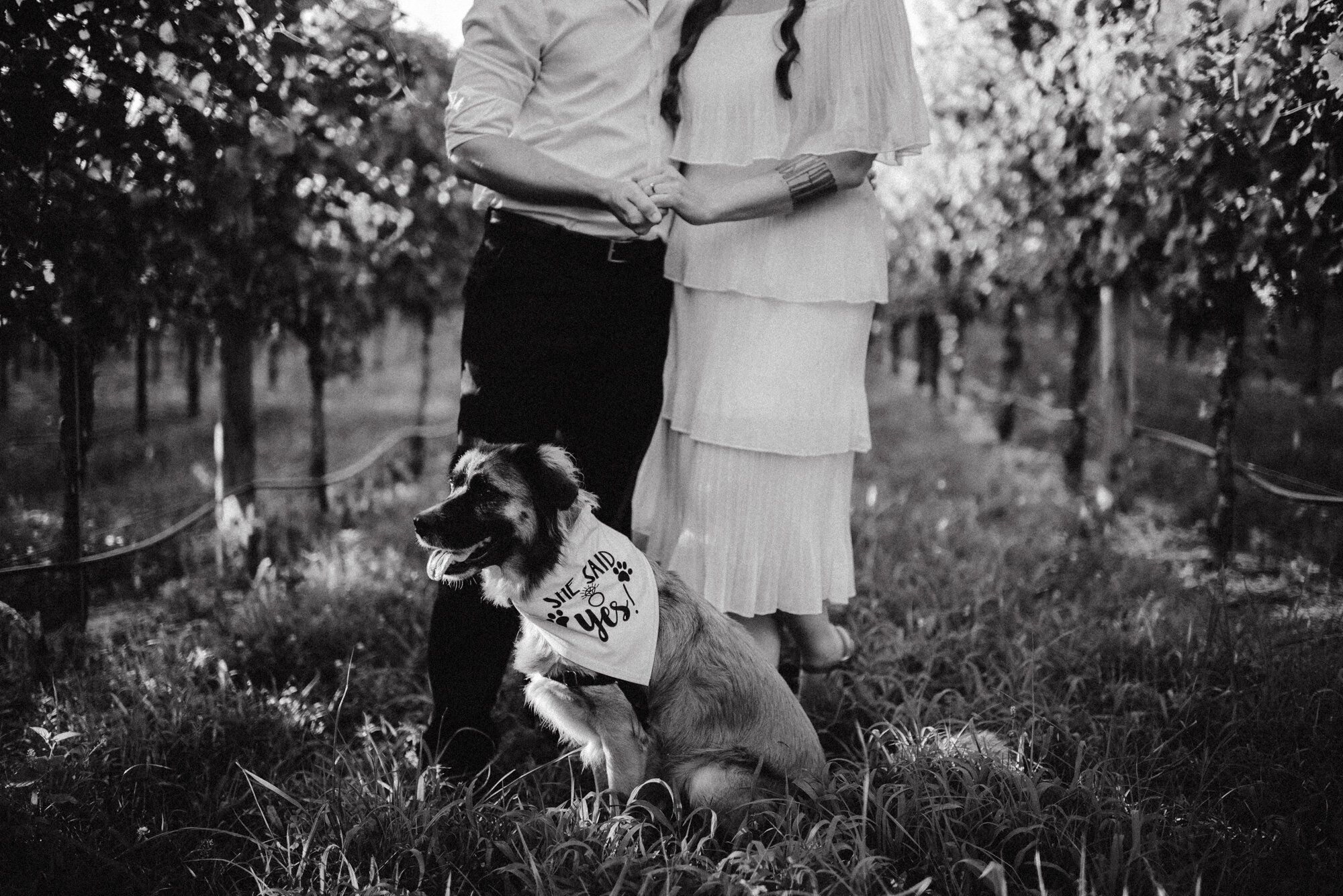 Summer Engagement Session - Vineyard Photoshoot - White Sails Creative Photography_4.jpg