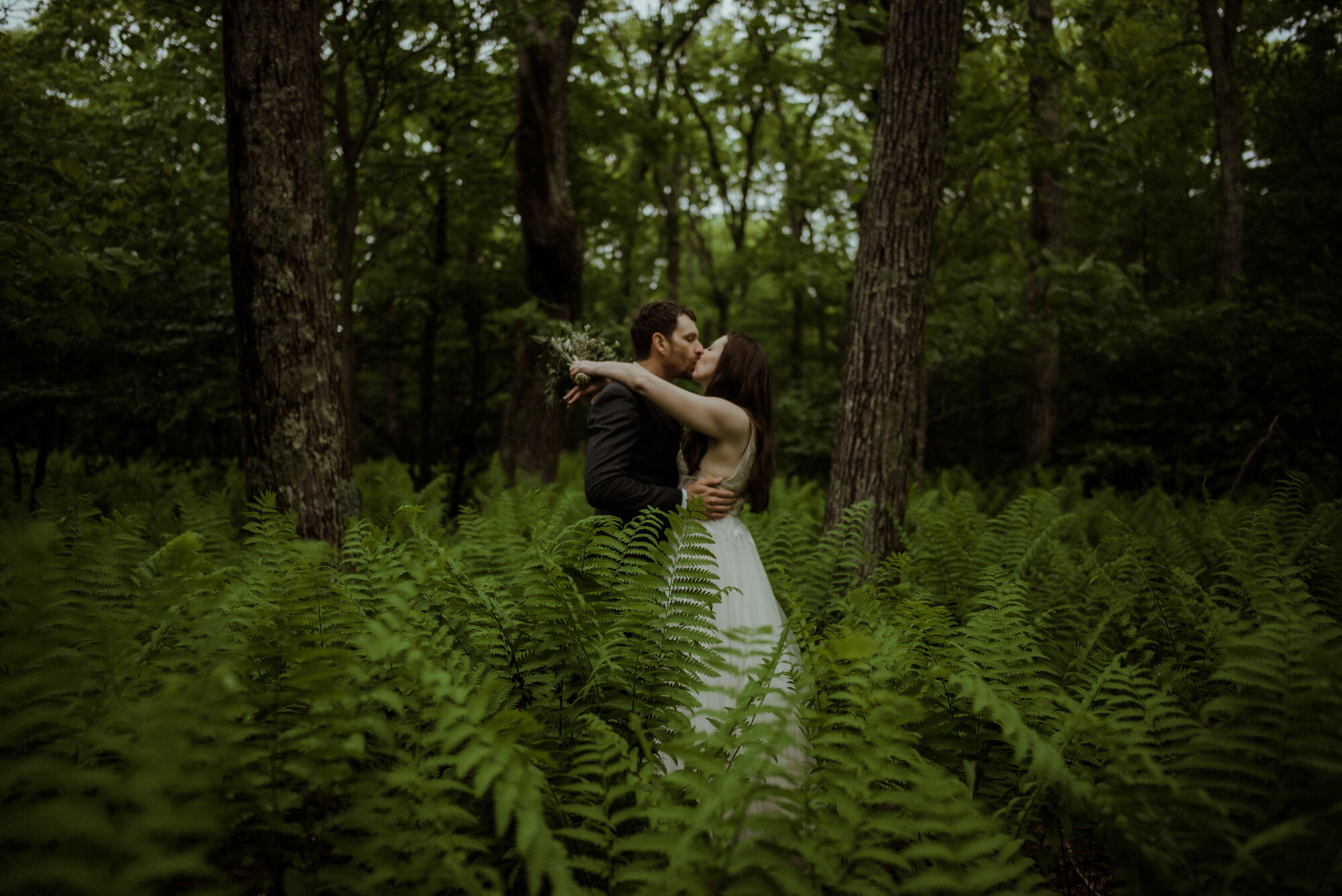 Shenandoah National Park Elopement - Skyline Drive Sunrise Photoshoot - Summer Mountain Elopement Inspiration - White Sails Creative Photography_43.jpg