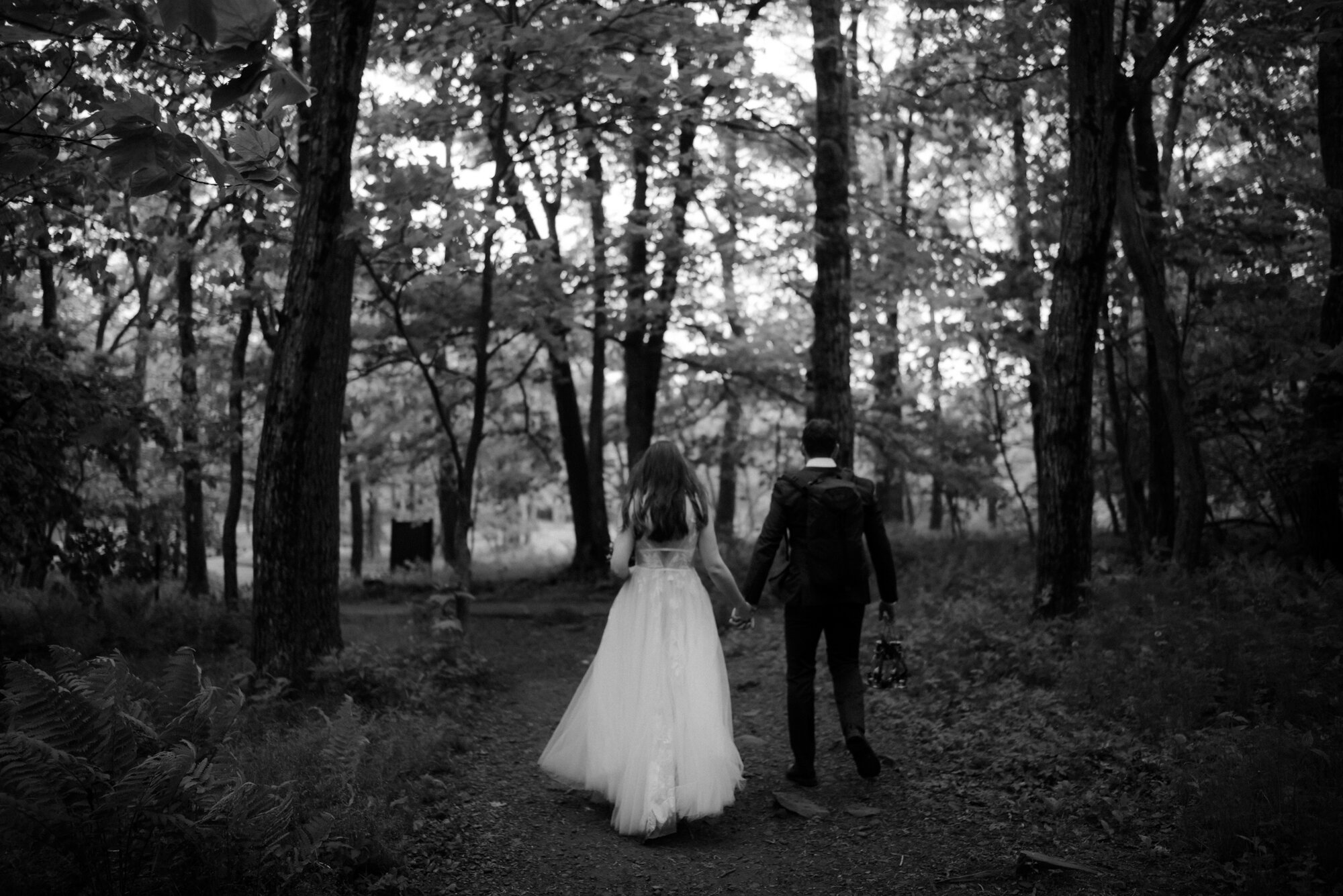 Shenandoah National Park Elopement - Skyline Drive Sunrise Photoshoot - Summer Mountain Elopement Inspiration - White Sails Creative Photography_46.jpg