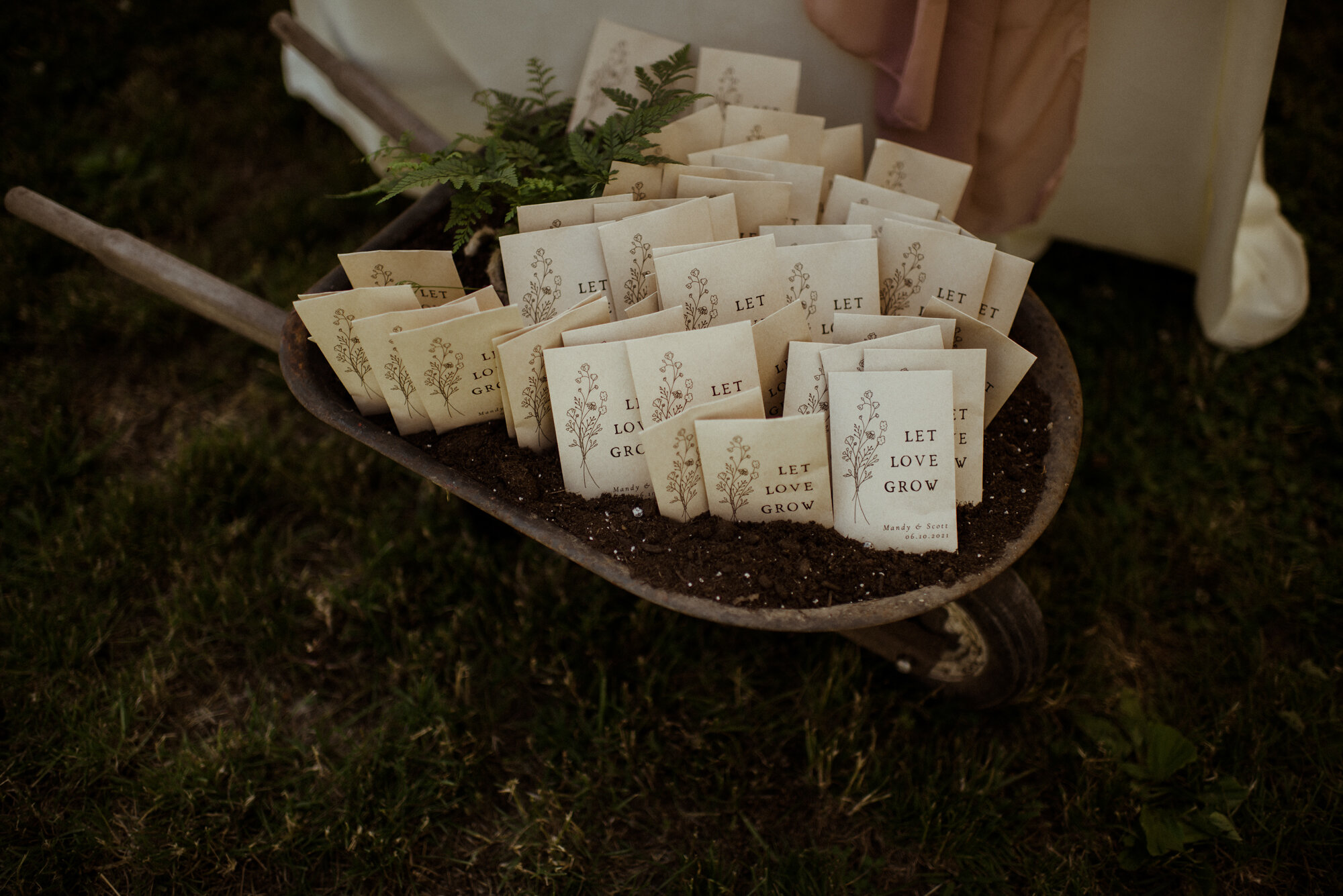 Mandy and Scott - Worlds End State Park Wedding - Backyard Pennsylvania Wedding - White Sails Creative Photography_71.jpg