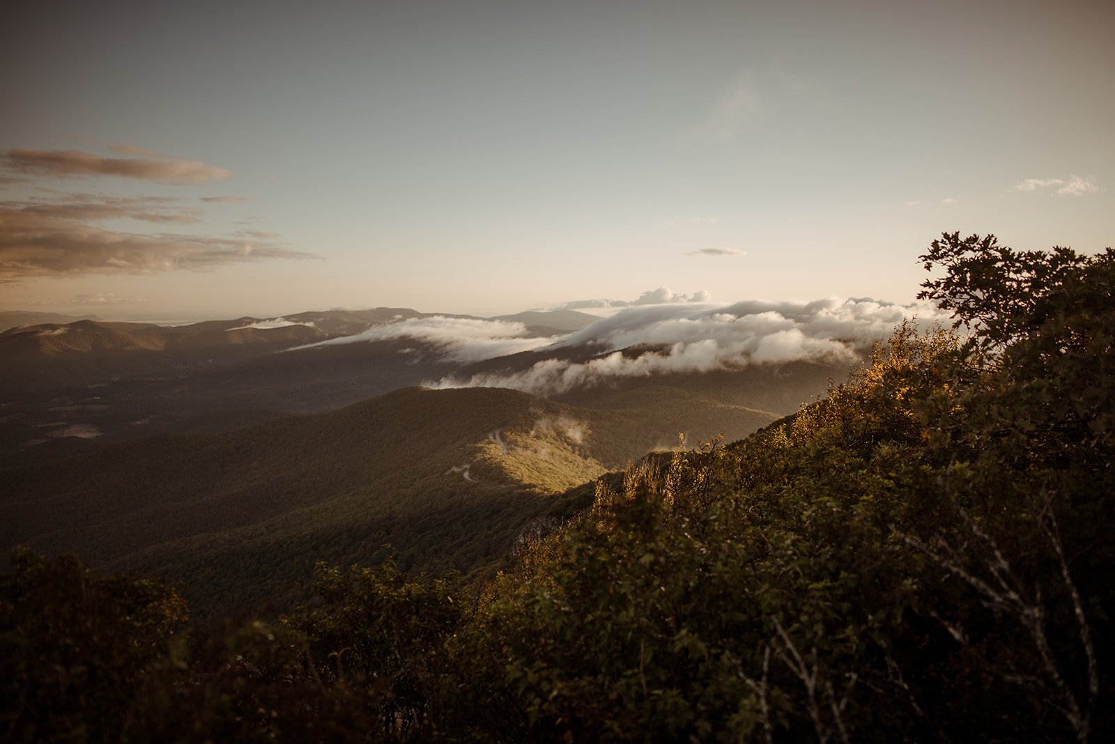 Shenandoah National Park Hiking Elopement with Guests - White Sails Creative_109.jpg