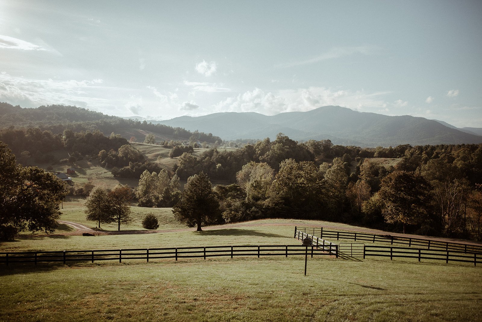 Intimate Airbnb Wedding in Virginia Mountains - Blue Ridge Wedding - White Sails Creative_59.jpg