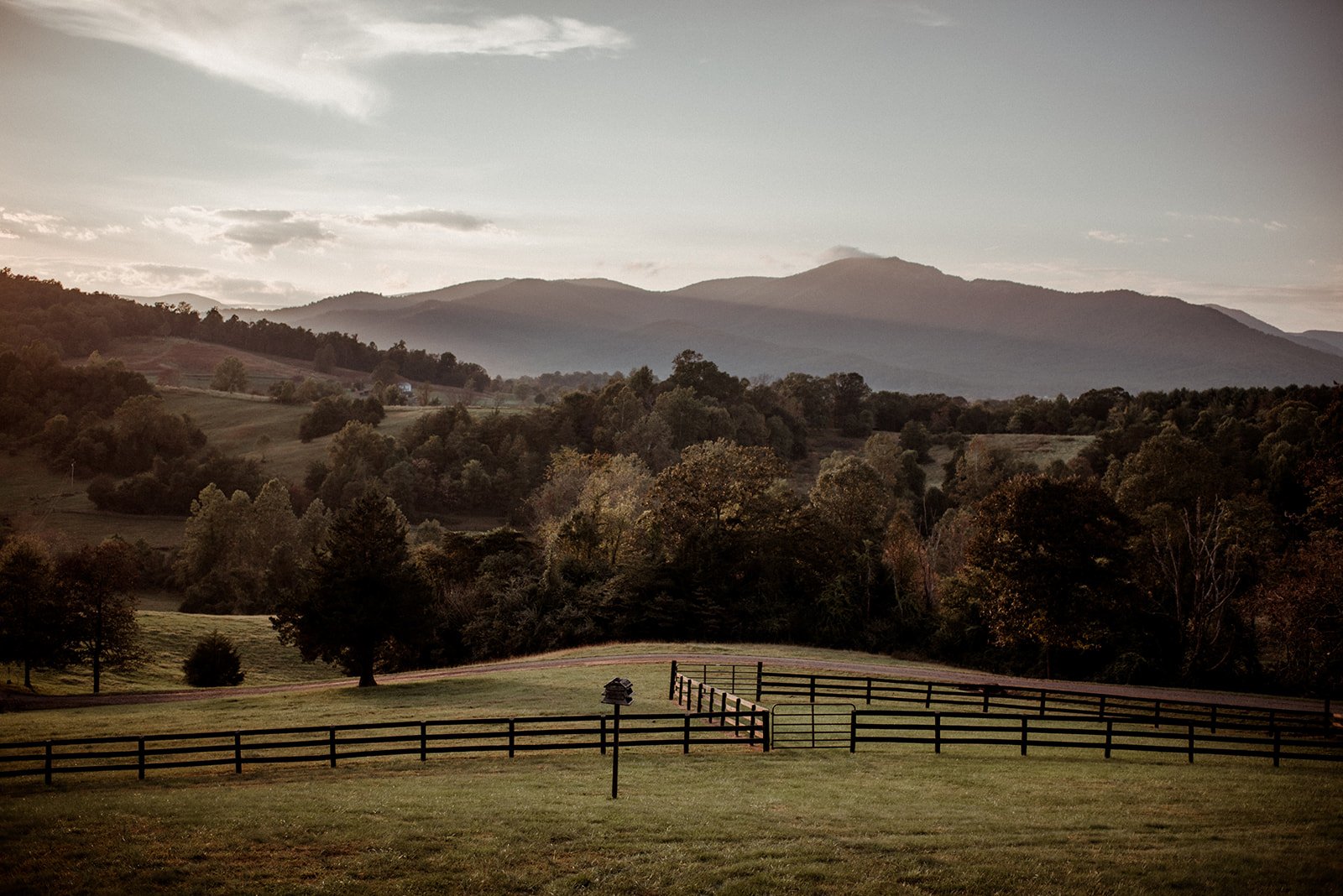 Intimate Airbnb Wedding in Virginia Mountains - Blue Ridge Wedding - White Sails Creative_98.jpg