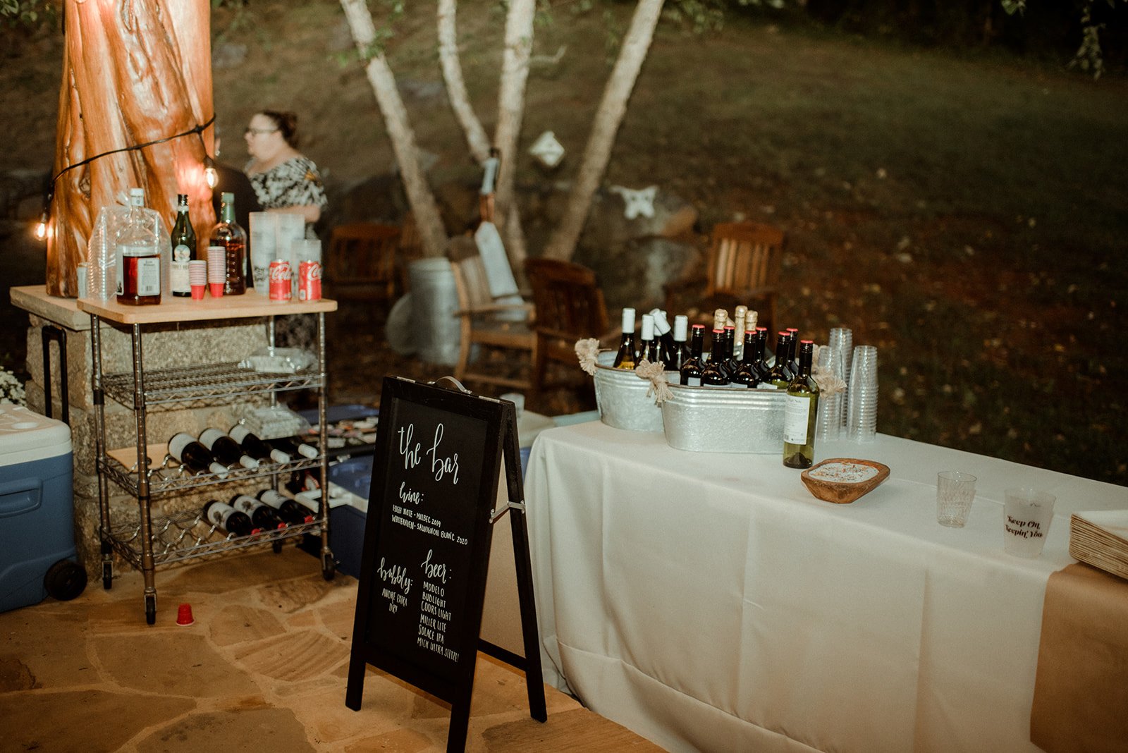 Intimate Airbnb Wedding in Virginia Mountains - Blue Ridge Wedding - White Sails Creative_141.jpg