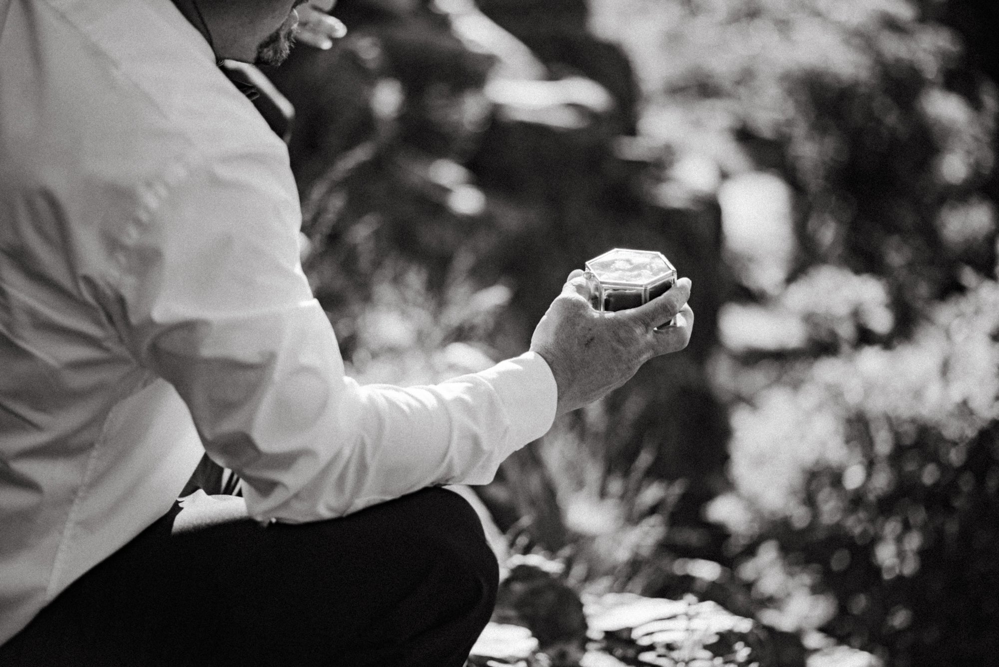 Sunset Elopement on Stony Man Summit in Shenandoah National Park - White Sails Creative Elopement Photography - July Elopement on the Blue Ridge Parkway_25.jpg