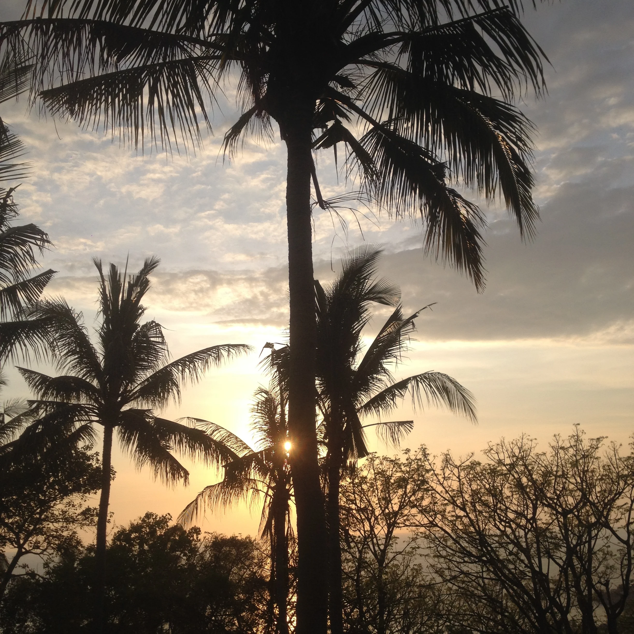 Making Moves- Indonesia to Singapore