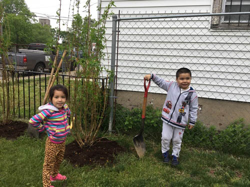Students enjoyed the chance to plant a tree at their center!