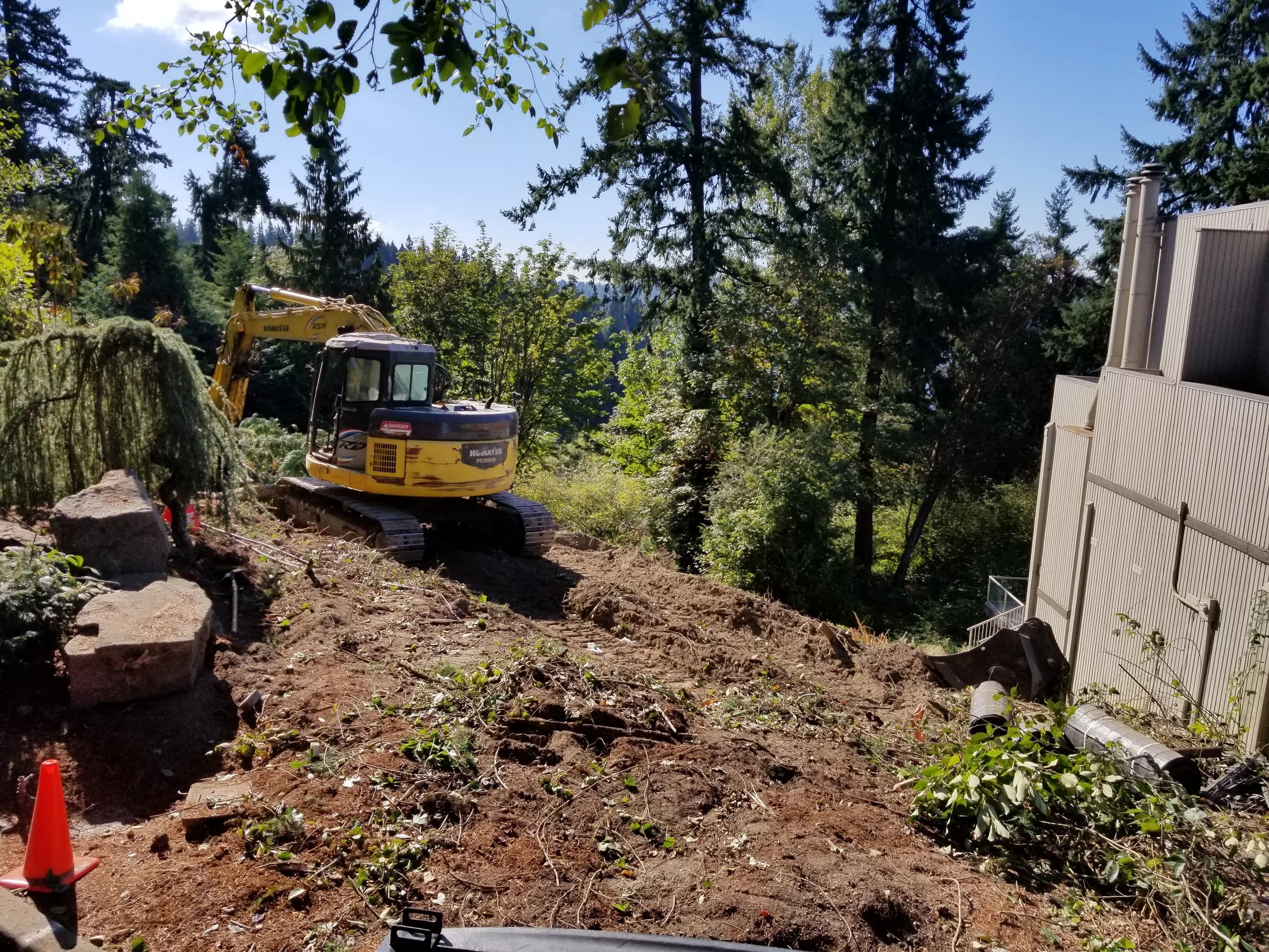We started with tree removal and clearing of the brush