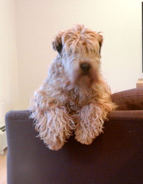 Rudi 03-12.jpg