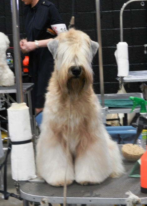 New GCH 03-24-12.jpg