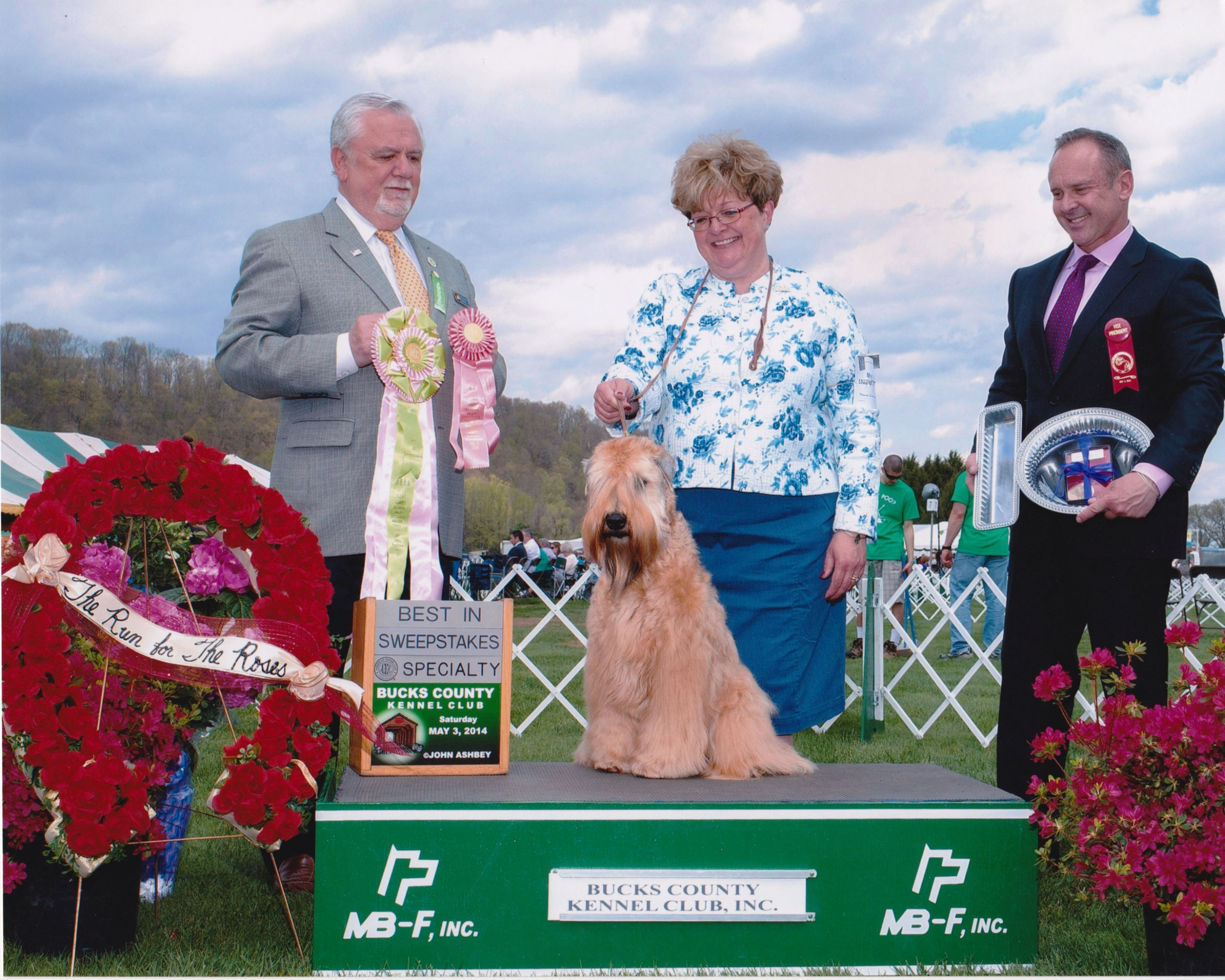 Zoey winning Sweepstakes, DVSCWTC, May 2014