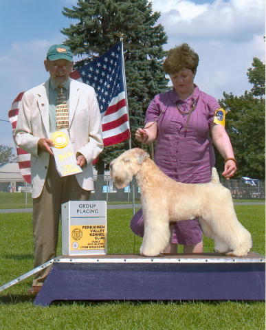 ballybae wheaten