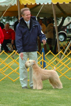  Mike and Lula, age 6 months.