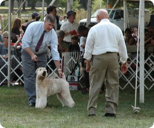 Paddington MCKC 2007 - 109.jpg