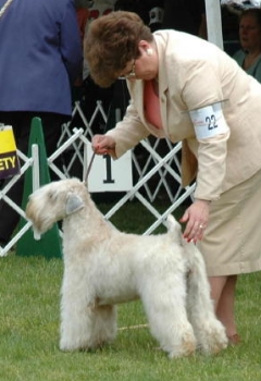  Franny at the DelVal Specialty