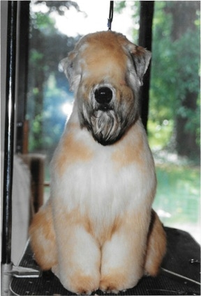  Mack at 6 1/2 months of age