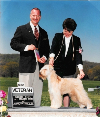 Farley, returning to the show ring at age 11 1/2.