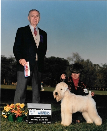 edgewood wheatens