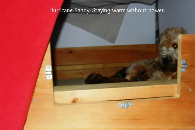 And_the_power_goes_10-29-12_-03.jpg