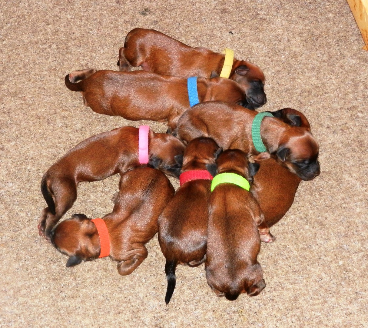 The whole gang...Day One