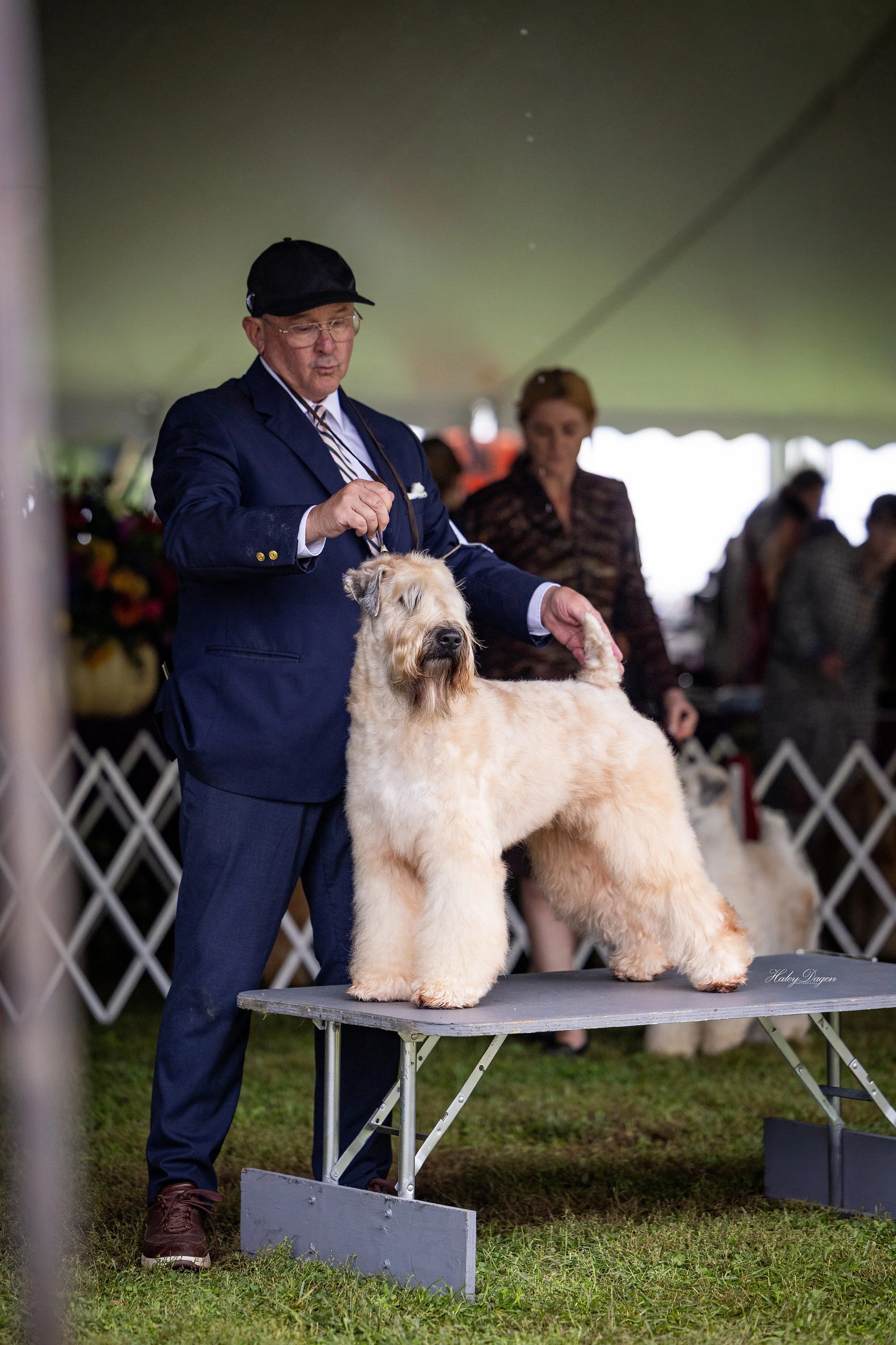 Bert MCKC 2026.jpg