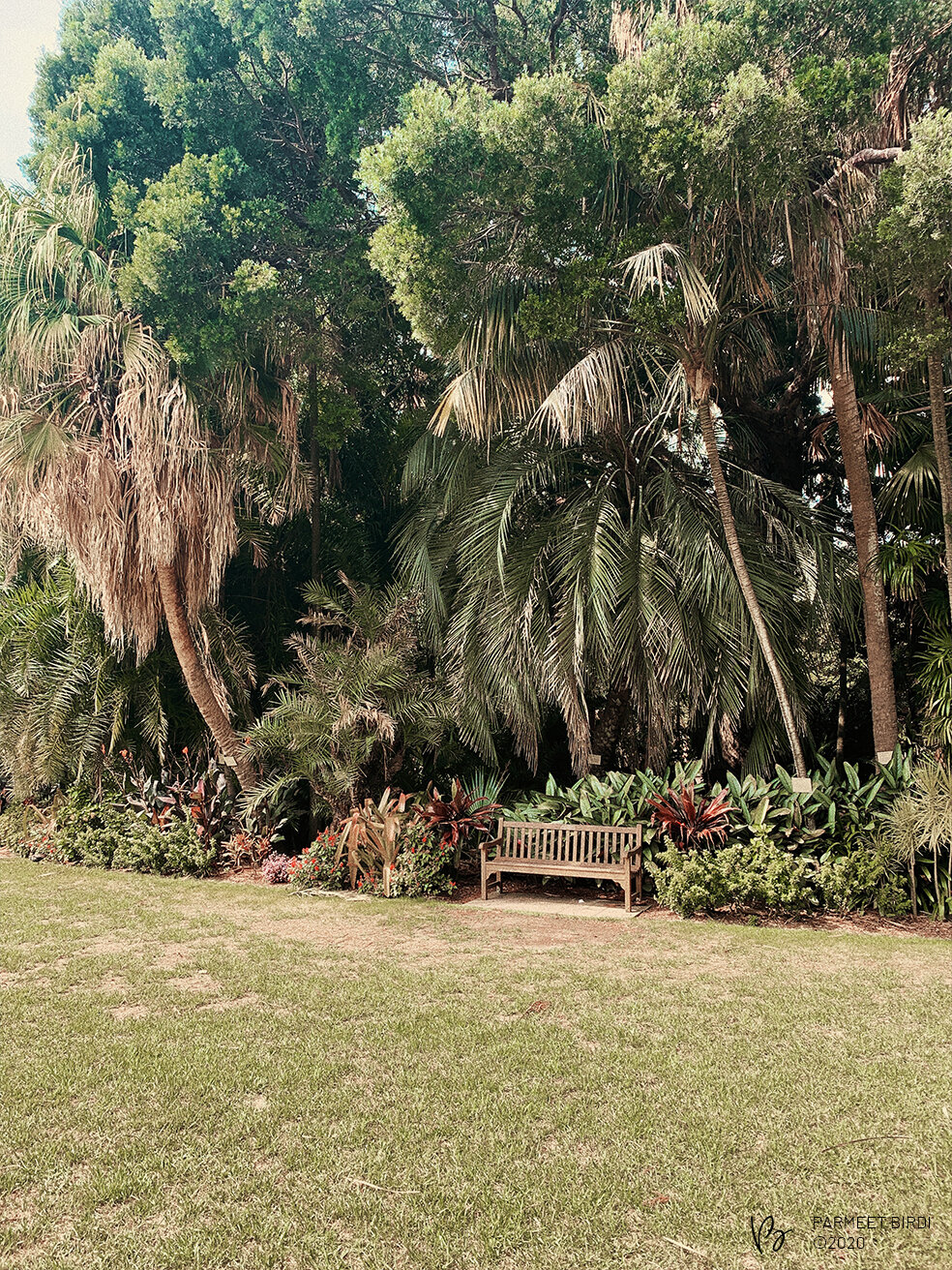  Royal Botanic Gardens Sydney 