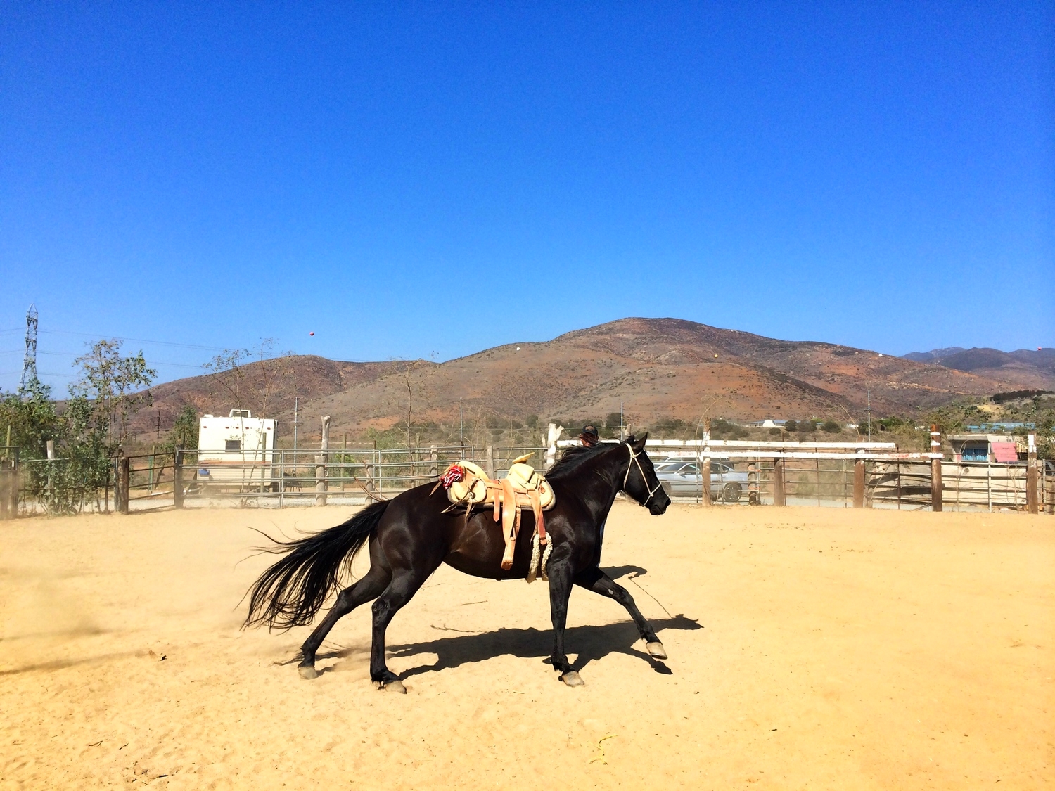 Ranch Life