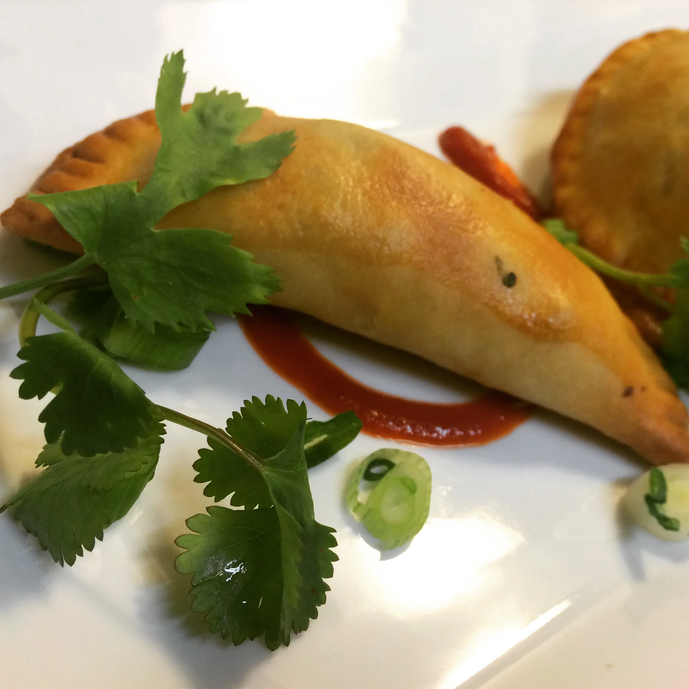 Empanada Dough Recipe