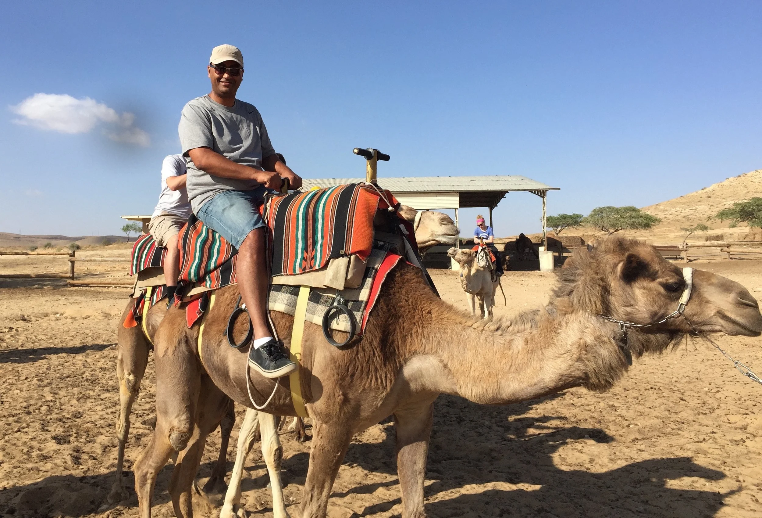 Rami camel.jpg