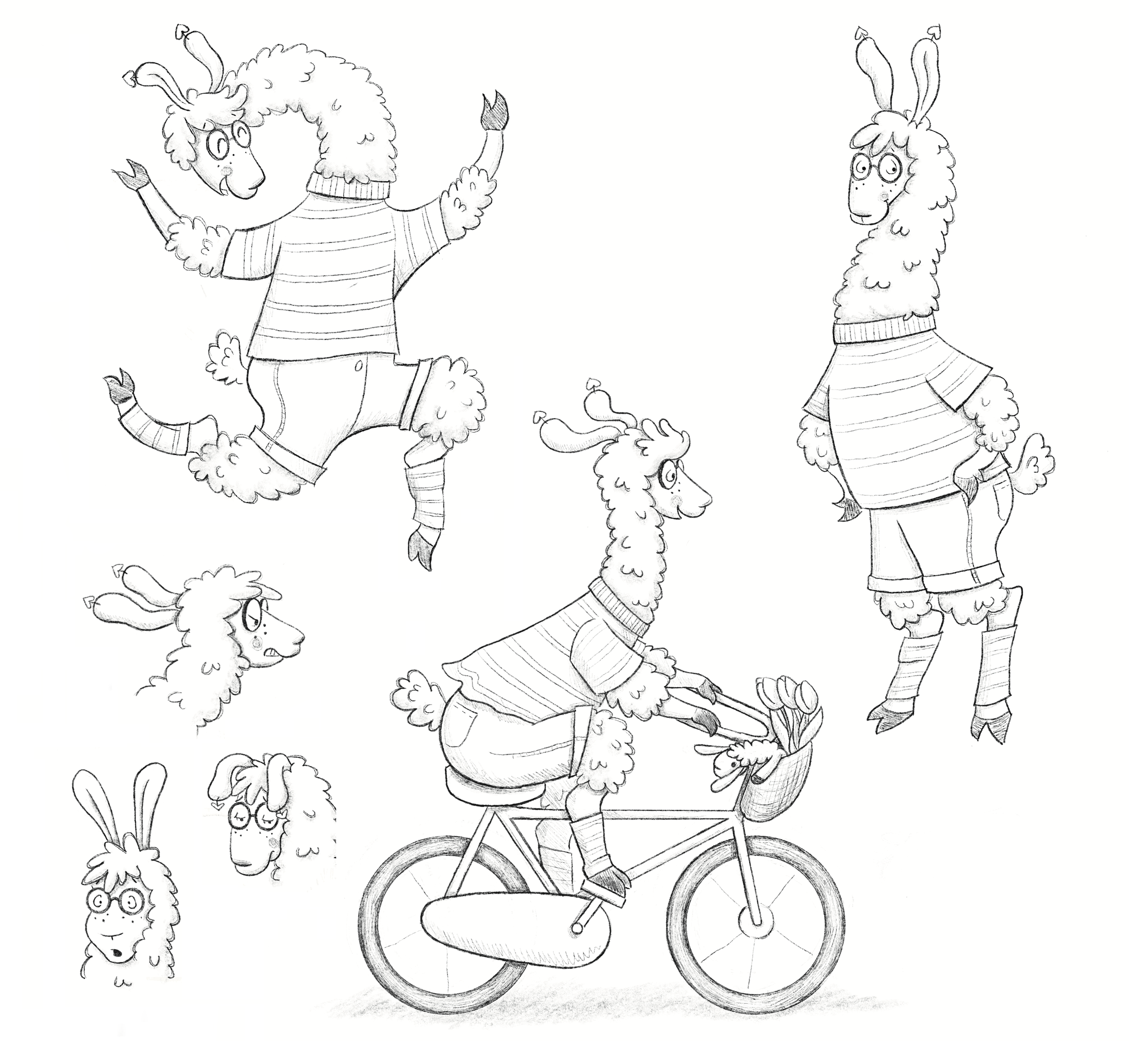 Llama sketches.png