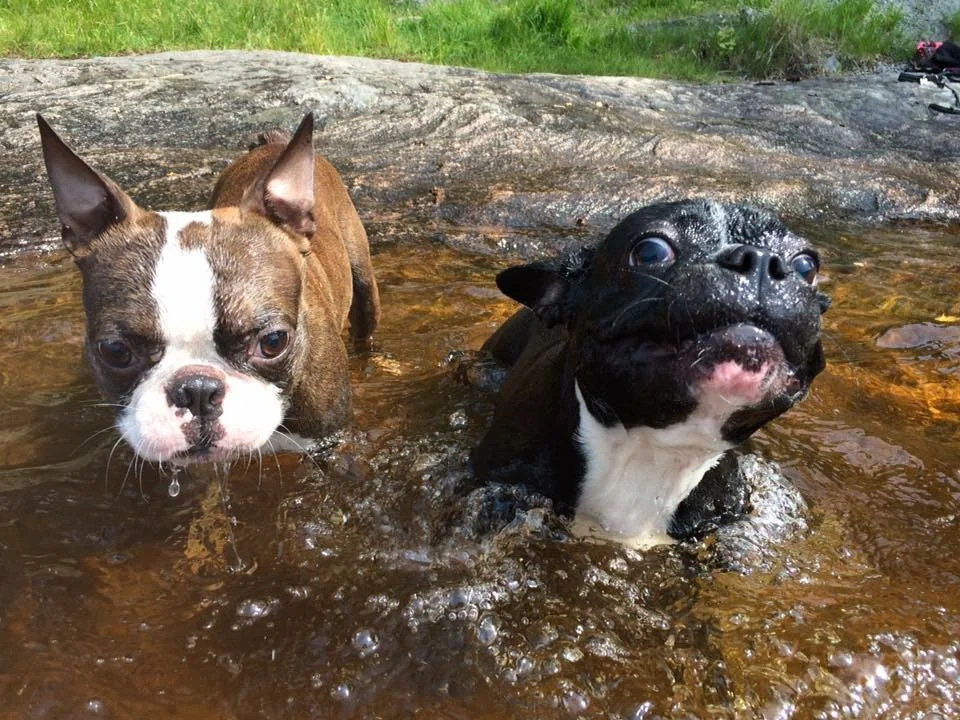 It is Bob plus Bubbles doing wet, watery goofballery, guys!! :) 