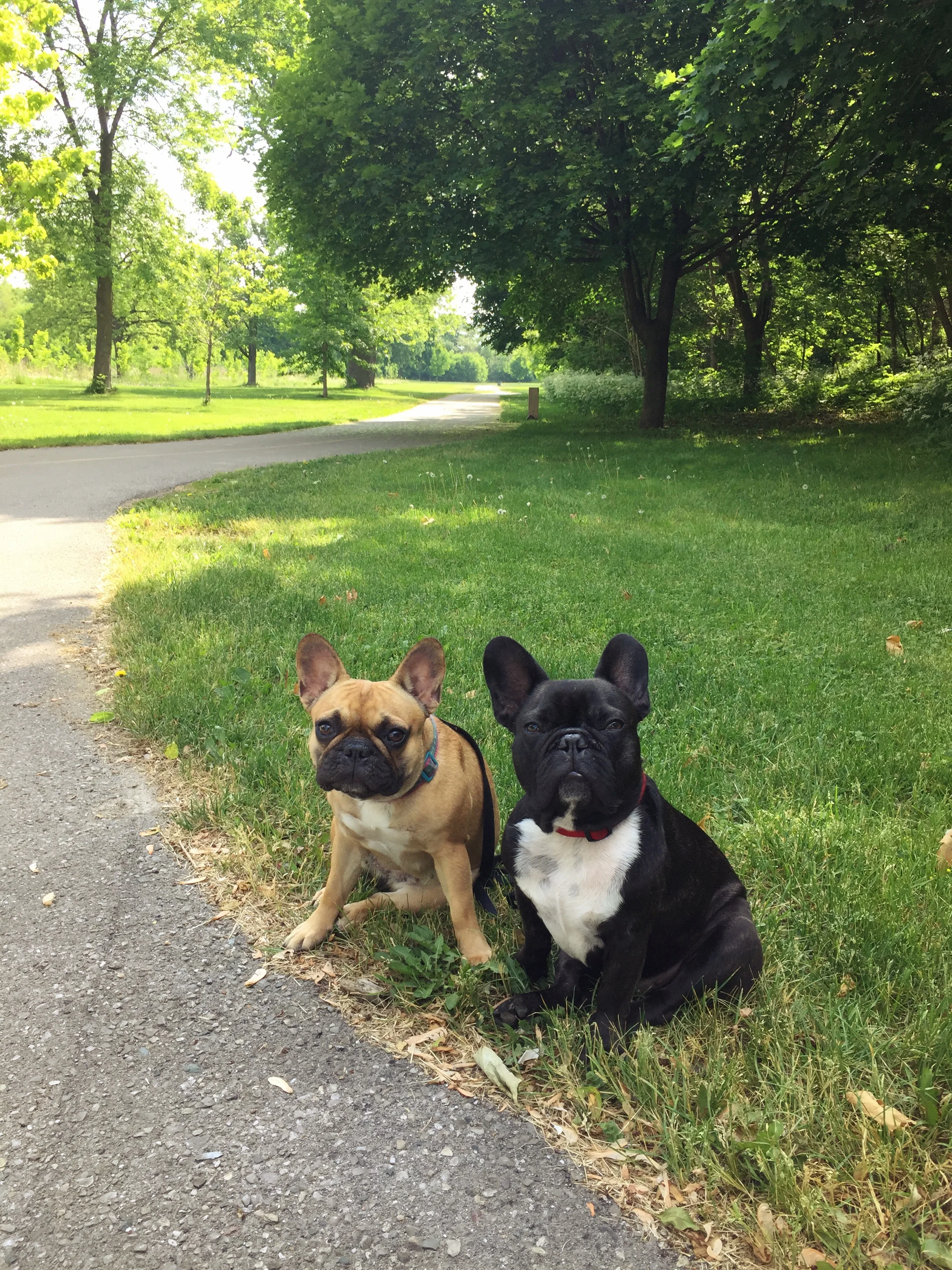 Me plus Mirabelle are saying GOODMORNINGTIMES at Watson Street Park, guys!! We go there lots and stuff!! 