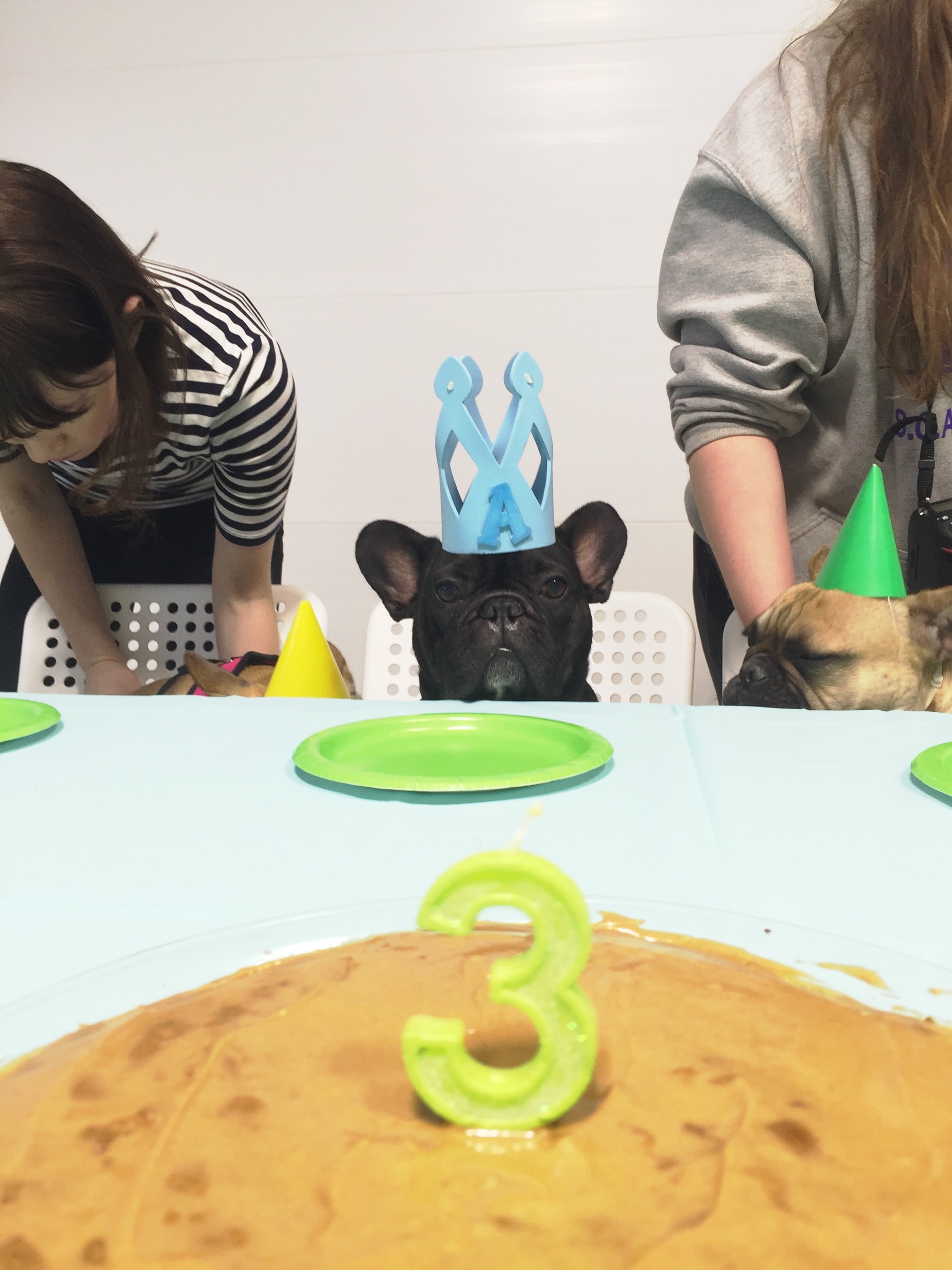 Hi guys!! This picturestory is from my Birthdaytimes when everybuddy got all ready with poserating for cake eatingtimes!! Yes!! Alla the other puppies were doing lotsa 'cited goofballery, butt NOT ME!! I was keeping my lookingmarbles pointed at... THE CAKE!! Ha ha!! ..........