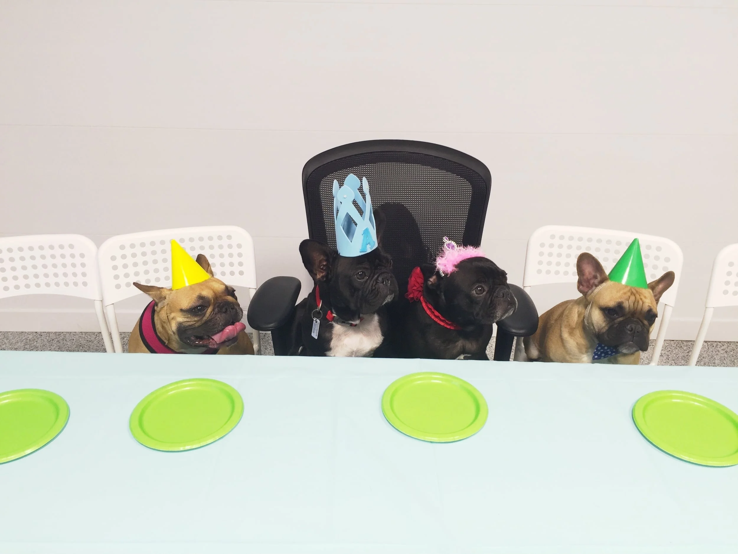 We tried all kindsa differenter poserational ways even!! "LEFT PAW SIDE, GUYS!! NICE!!" ............