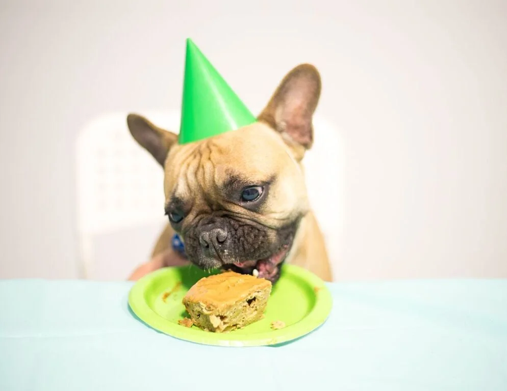 MARCEL THE BOY LUVS CAKE!! :) :) :) ..............
