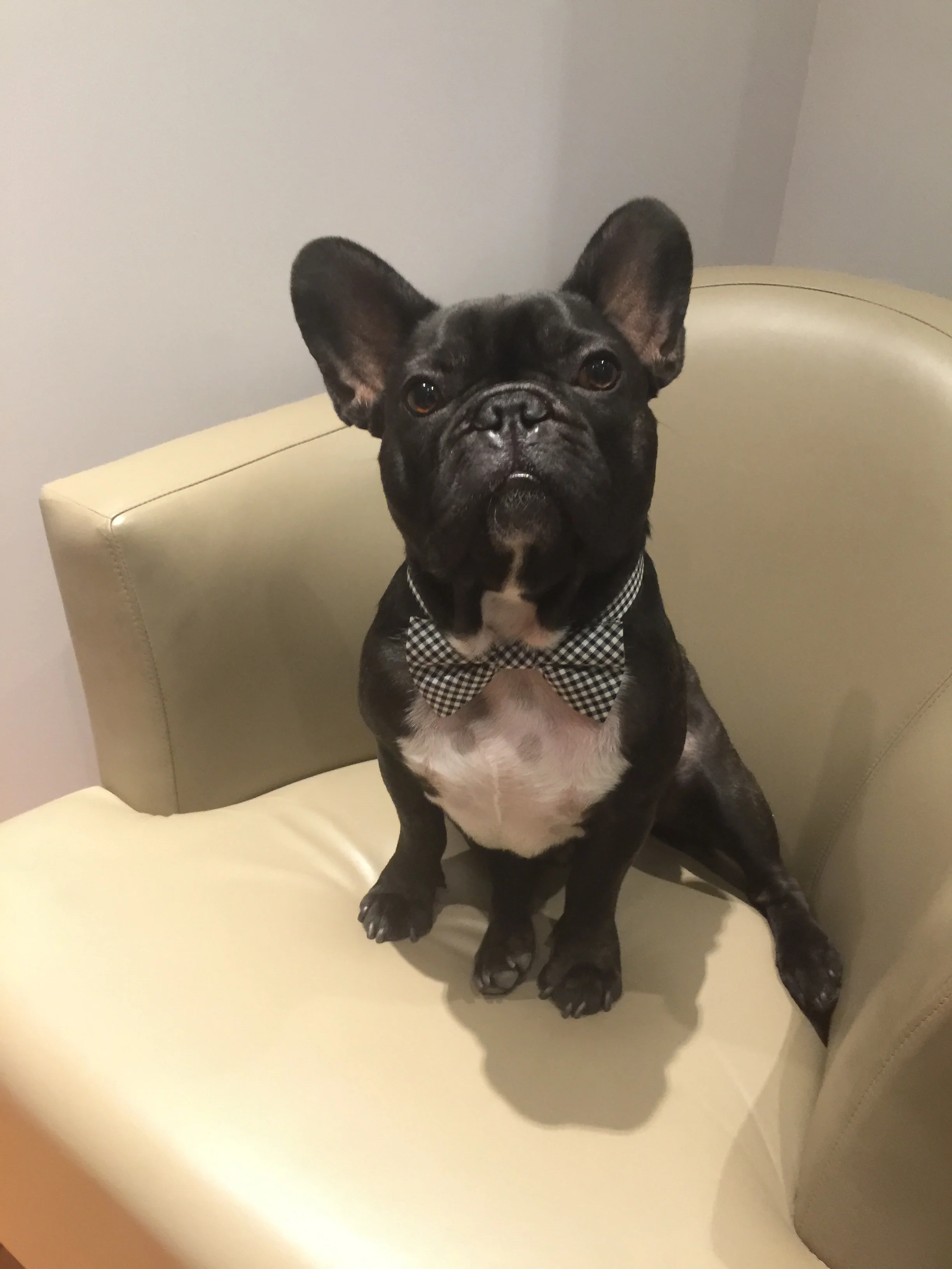 Then we got all soopersneaky, guys!! See... Jelenak plus alla her workerman workerpals did pretenderating to fool LIBBYWILKINSON!! Ha ha!! Truestory!! Libbywilkinson thought she was atta sooper'portant businessman businessmeeting, plus they told her…