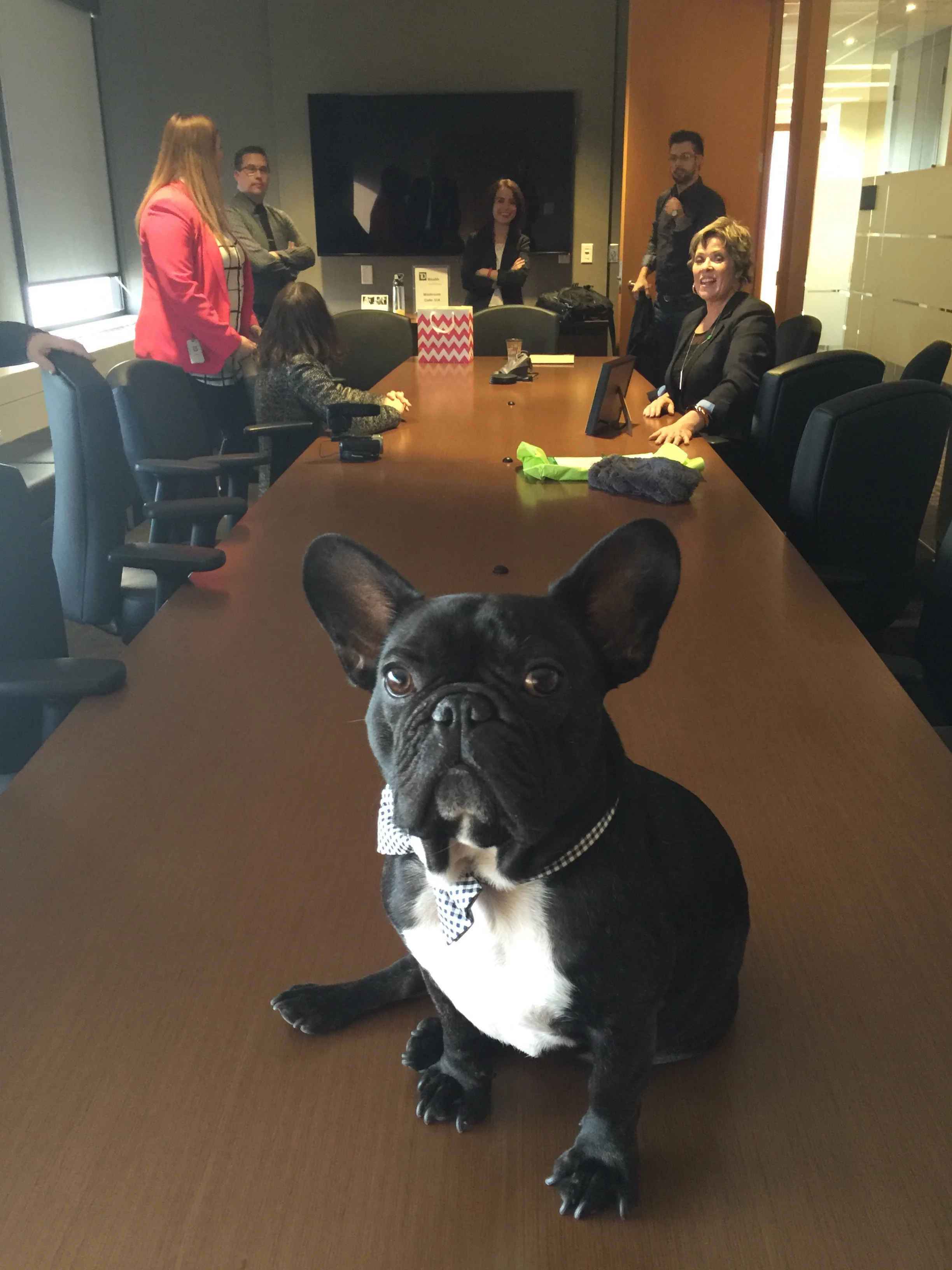 Everybuddy was sooper'sprized plus Libbywilkinson got all 'cited plus her lookingmarbles got all leaky, plus Mum's lookingmarbles got a leaky too, plus basically everybuddy's heart got full of HAPPY!! ................