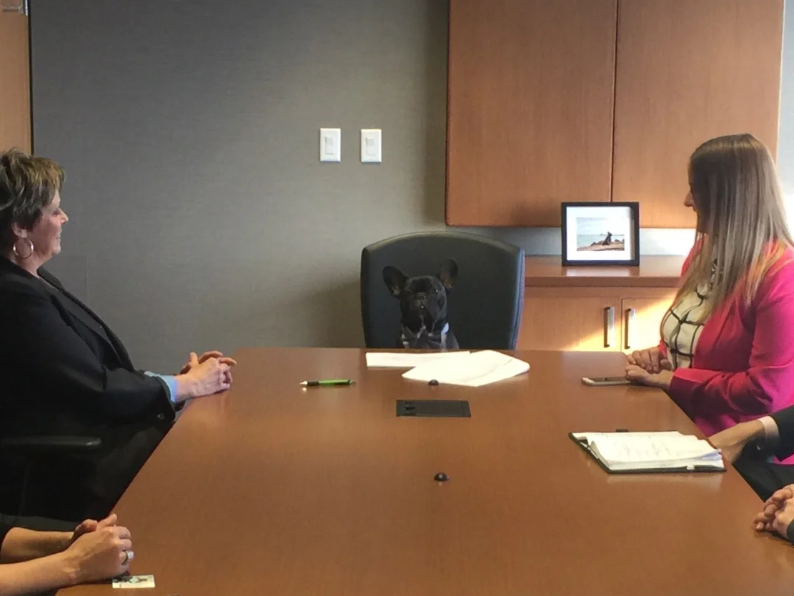 "BASICALLY WE NEED TO MAKE LOTS'NLOTS OF ELEVENTY DOLLAR BILLS, GUYS!! YES!! PLUS.... INVESTING MORE DOLLARPENNIES IN TREATS WOULD BE AWESOMETIMES. TREATS IS A GROWING MARKET, GUYS!! 'TILL I PUT THEM ALL IN MY BELLY, THAT IS!! HA HA!! . .....That is…