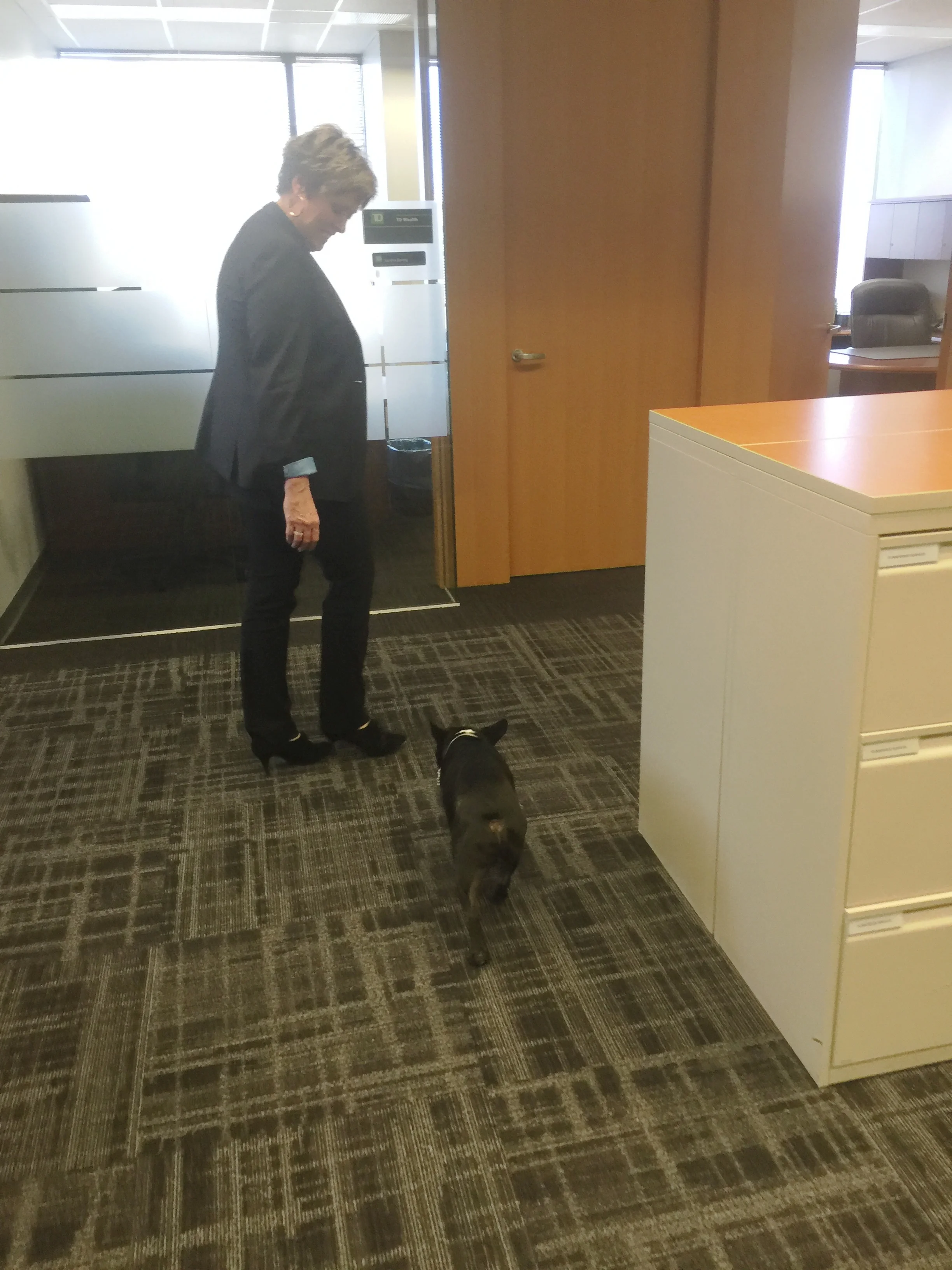 Then my shinynew inthesameplacefriend, Libbywilkinson gave me a VIP (Very Importantal Puppy) tour of where she does alla her workerman work!! Yes!! It is called TD WEALTH, guys!! That stands for TA-DA!!-WEALTH!! Yup!! 'Cuz when they make lots'nlots of dollarpennies for peoples, they all say "TA-DA!!" Yup!! Did you know!!?? Libbywilkinson is SENIOR NICE-PRESIDENT OF DOLLARPENNIES!! Yes!! Pretty sure that is what she said. Pretty sure..................