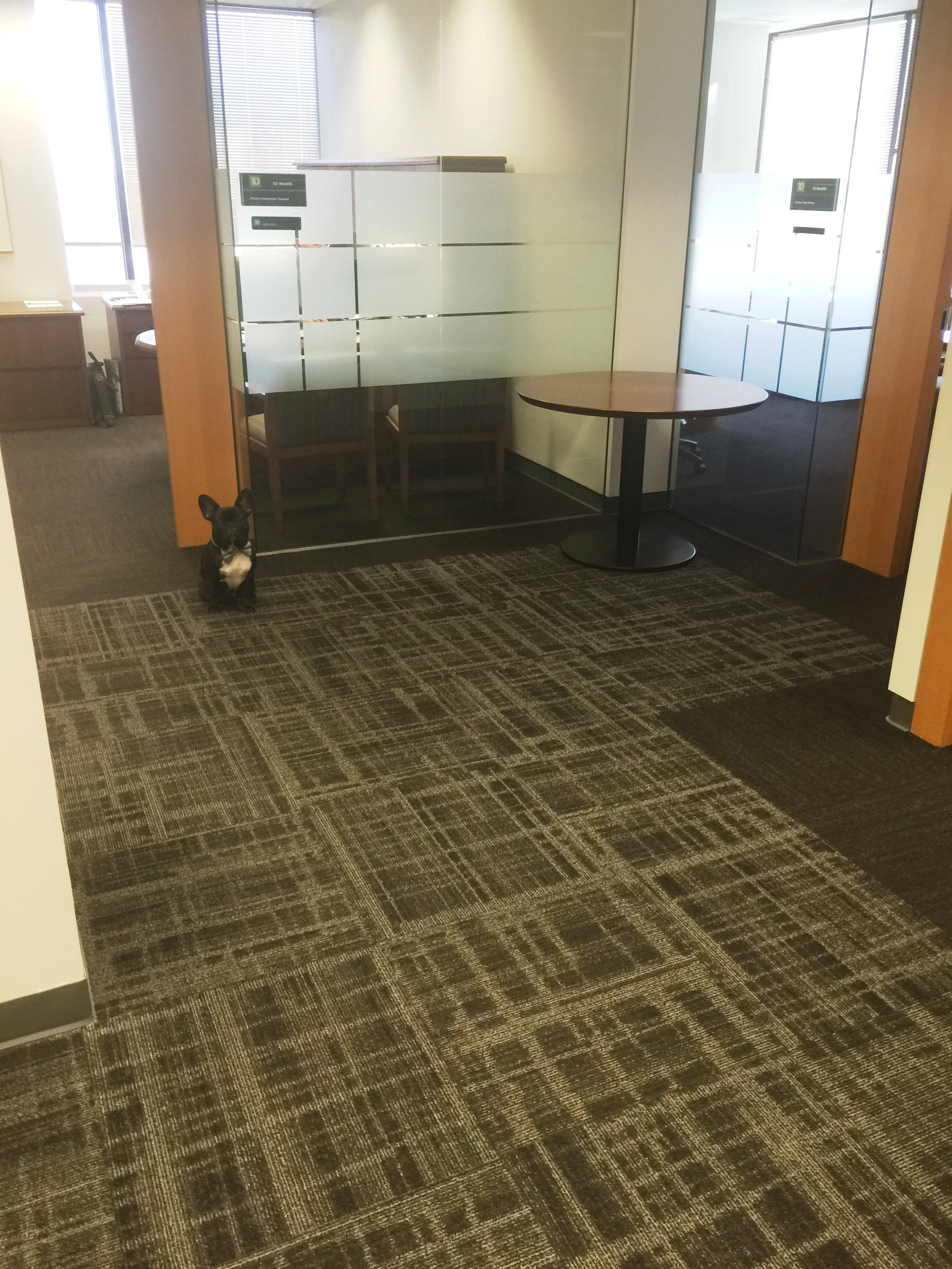 I liked this one on the corner with lotsa windowholes innit!! There was lotsa sunsmiles in this one, so prolly I could do lotsa nappingtimes in here!! Prolly!! Maybe one day I can be JUNIOR NICE-PRESIDENT OF DOLLARPENNIES!! I like it!! .............…