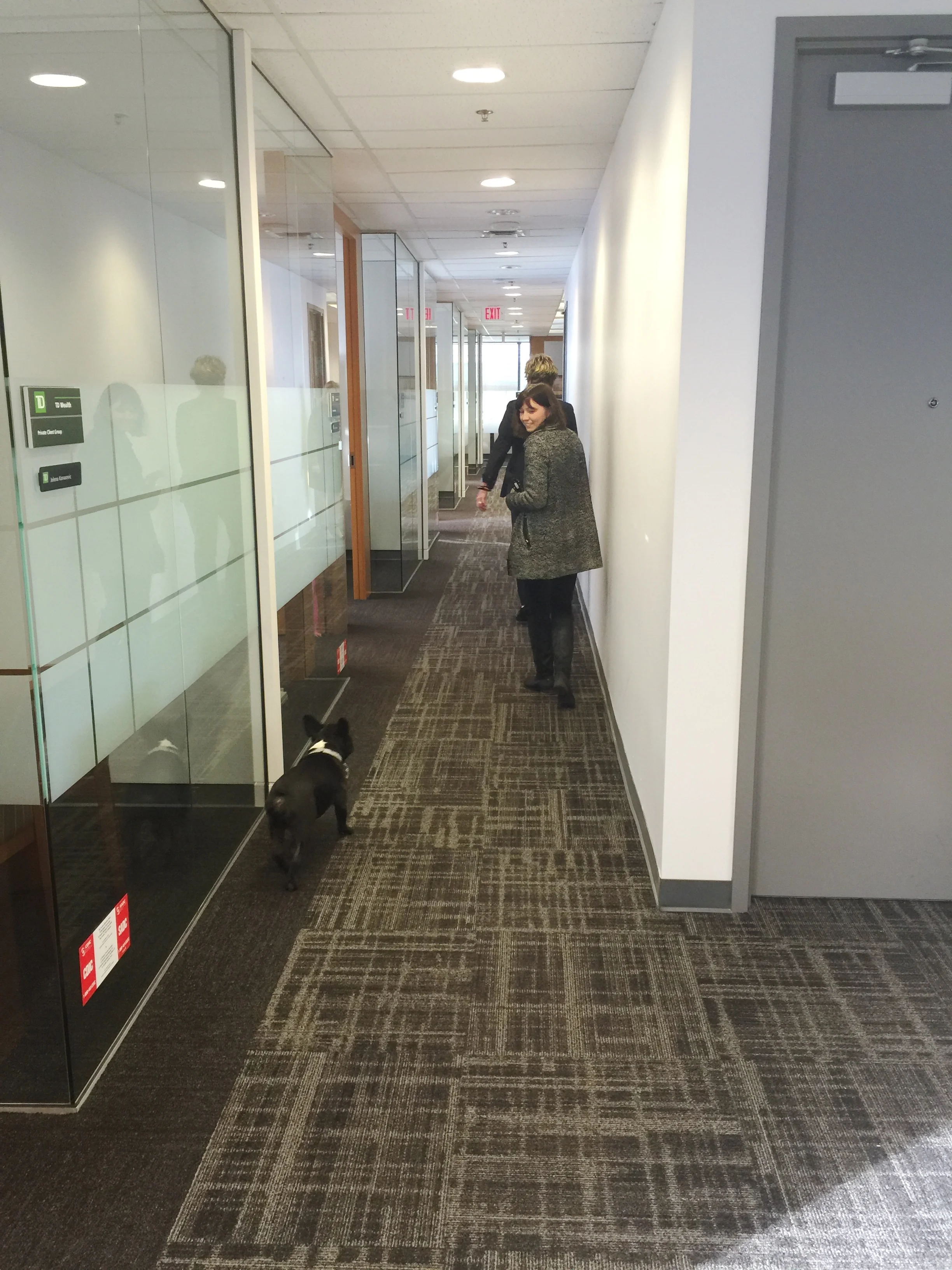 I got to see allover everywheres, guys!! Was all kindsa soopercool!! Plus Libbywilkinson introduced me to everybuddy!! Yup!! ................