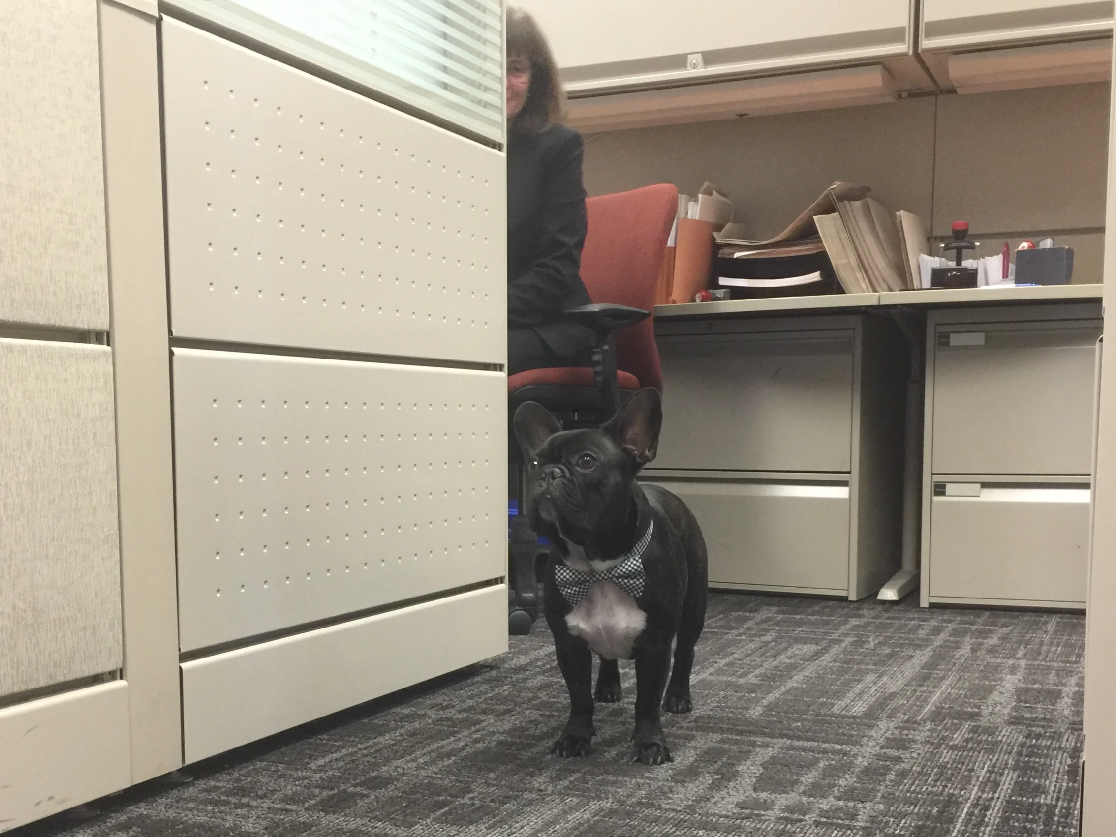 I liked it at the TA-DA BANK, guys!! Was sooperfun!! Maybe I WILL do workerman work here one day!! Maybe!! Prolly!! SURE!! ............