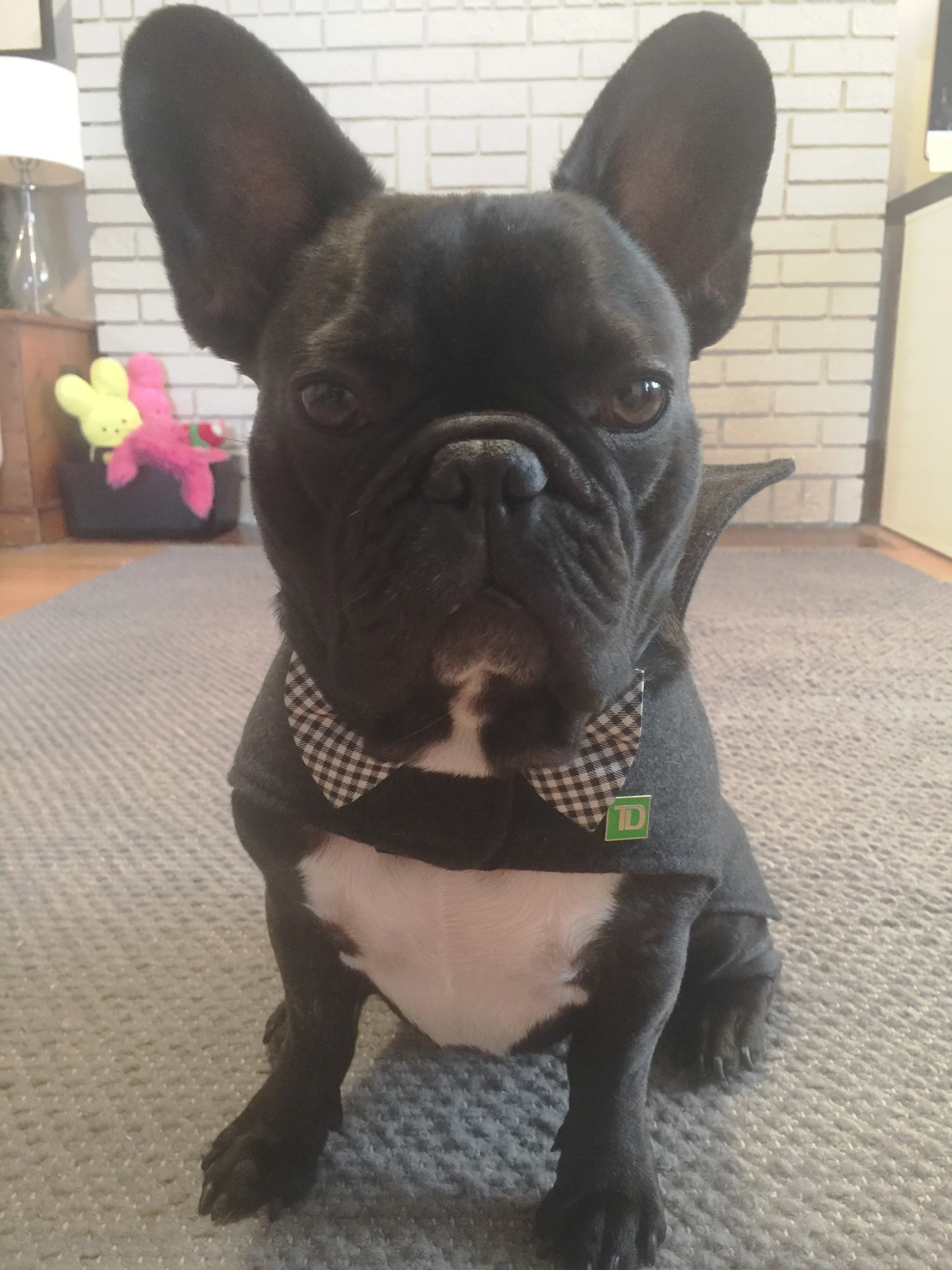 Plus Libbywilkinson even gave me a sooperspecial TA-DA BANK pin for my gentleman cozycoat!! Do you see!!?? ...............