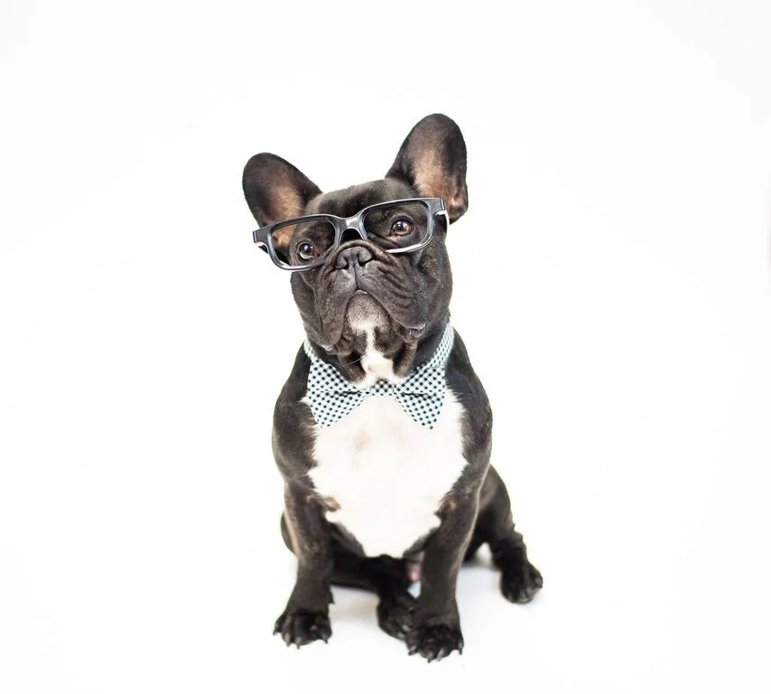 This is the one with me plus my fancy schmantzy bowtie plus smartguys looking googgles!! :) 